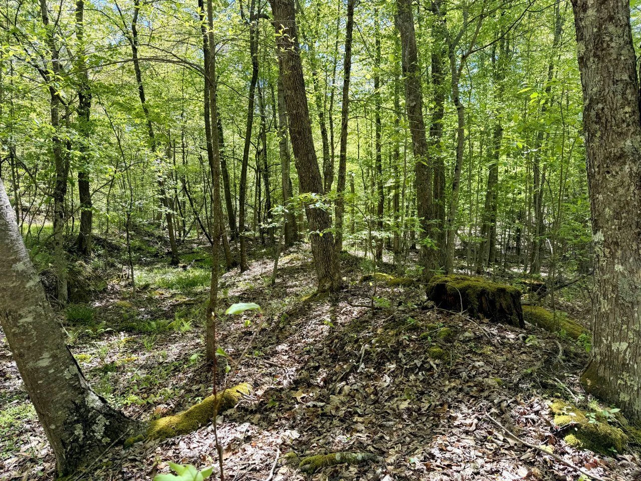 0 Iona RD - Photo 28