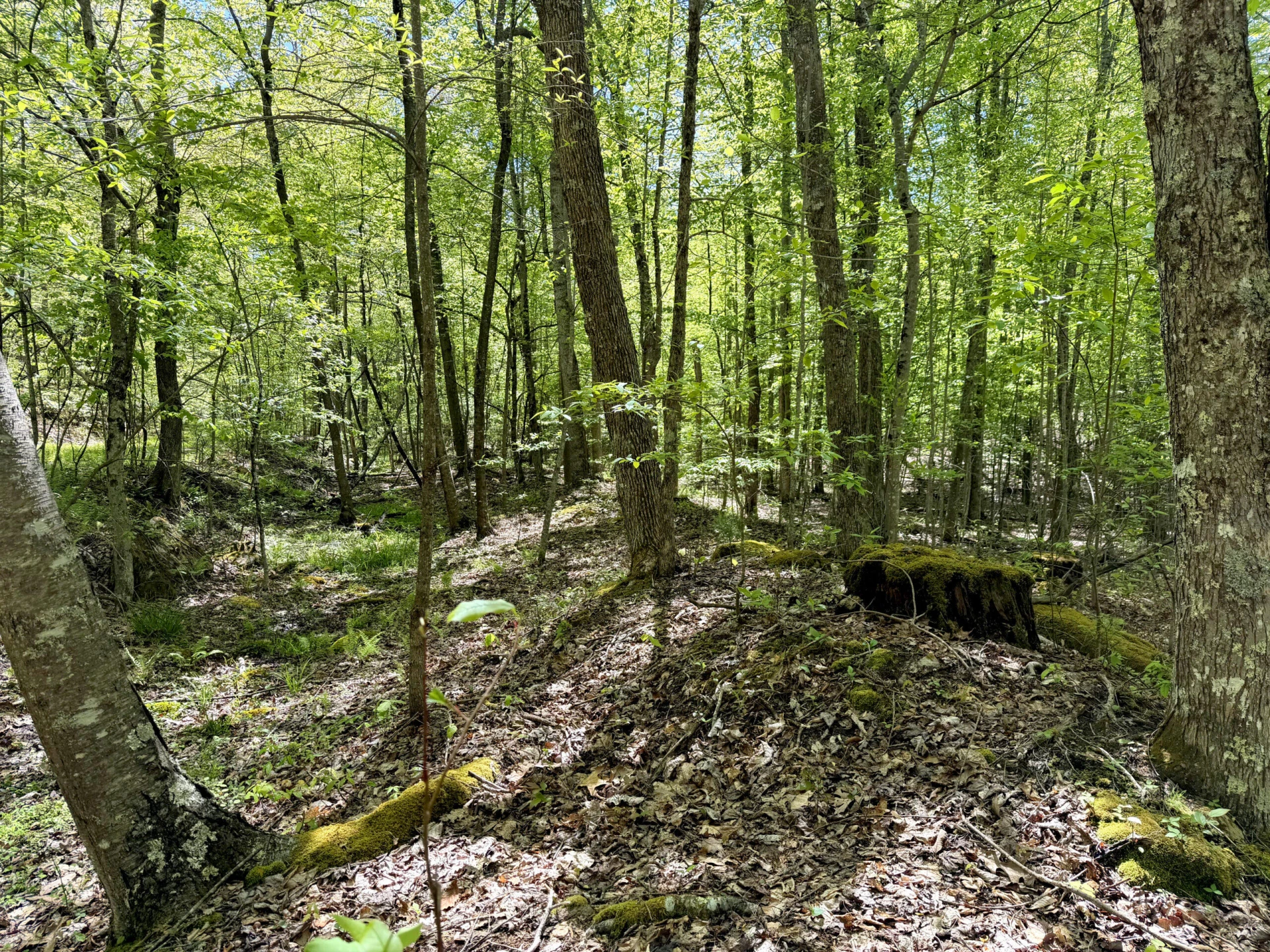 0 Iona RD - Photo 29