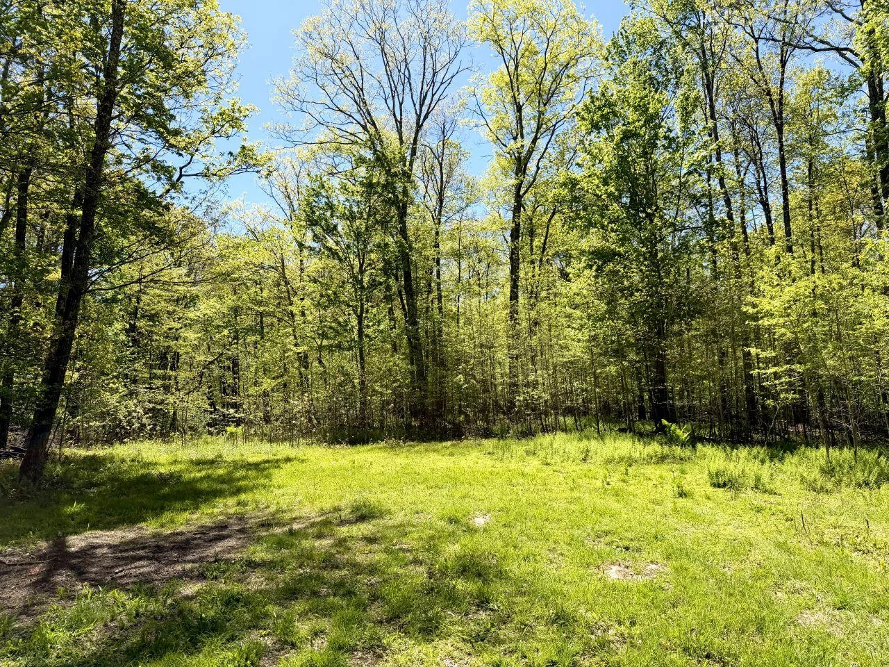 0 Iona RD - Photo 34