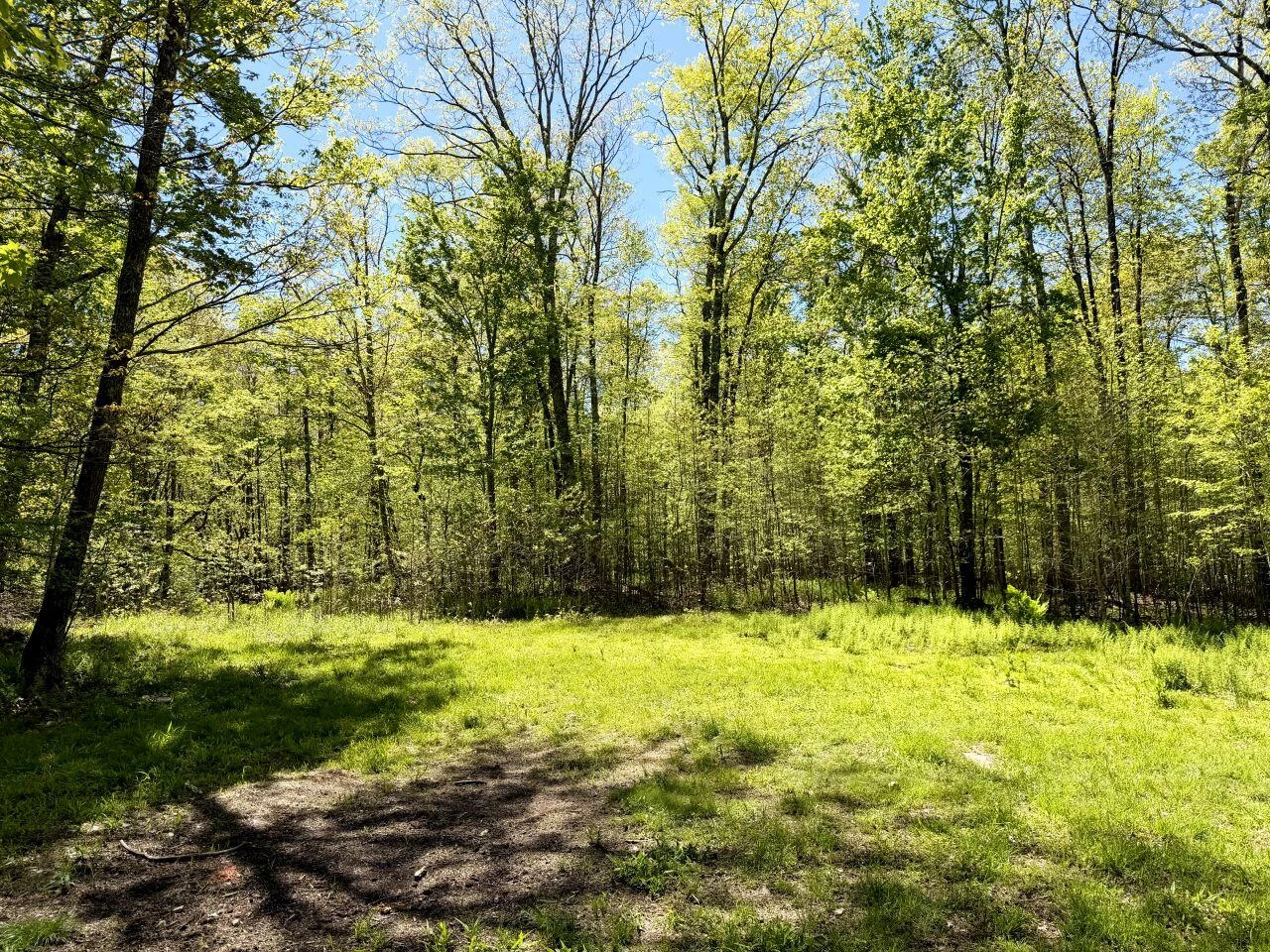 0 Iona RD - Photo 35
