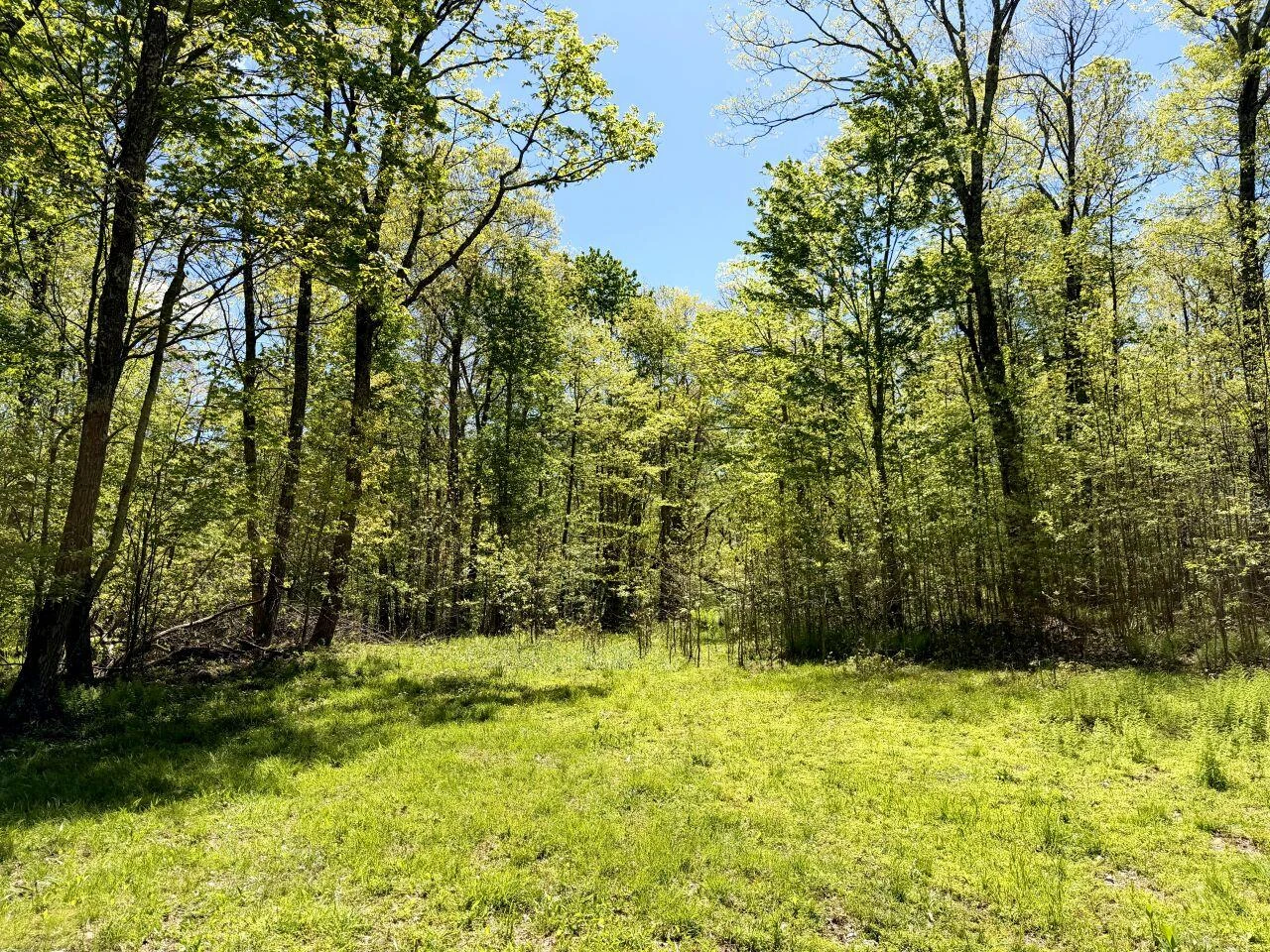 0 Iona RD - Photo 37