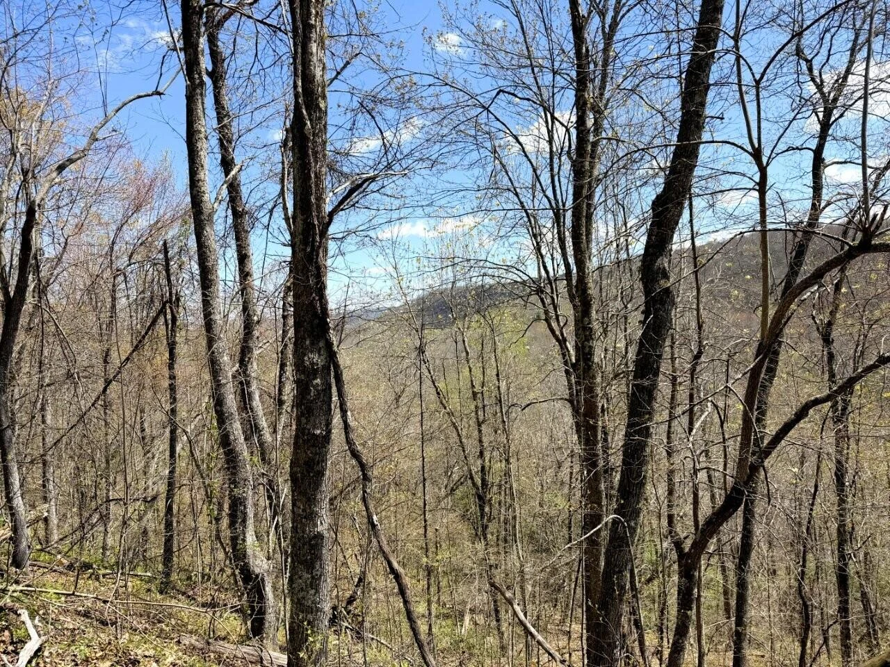 0 Iona RD - Photo 40
