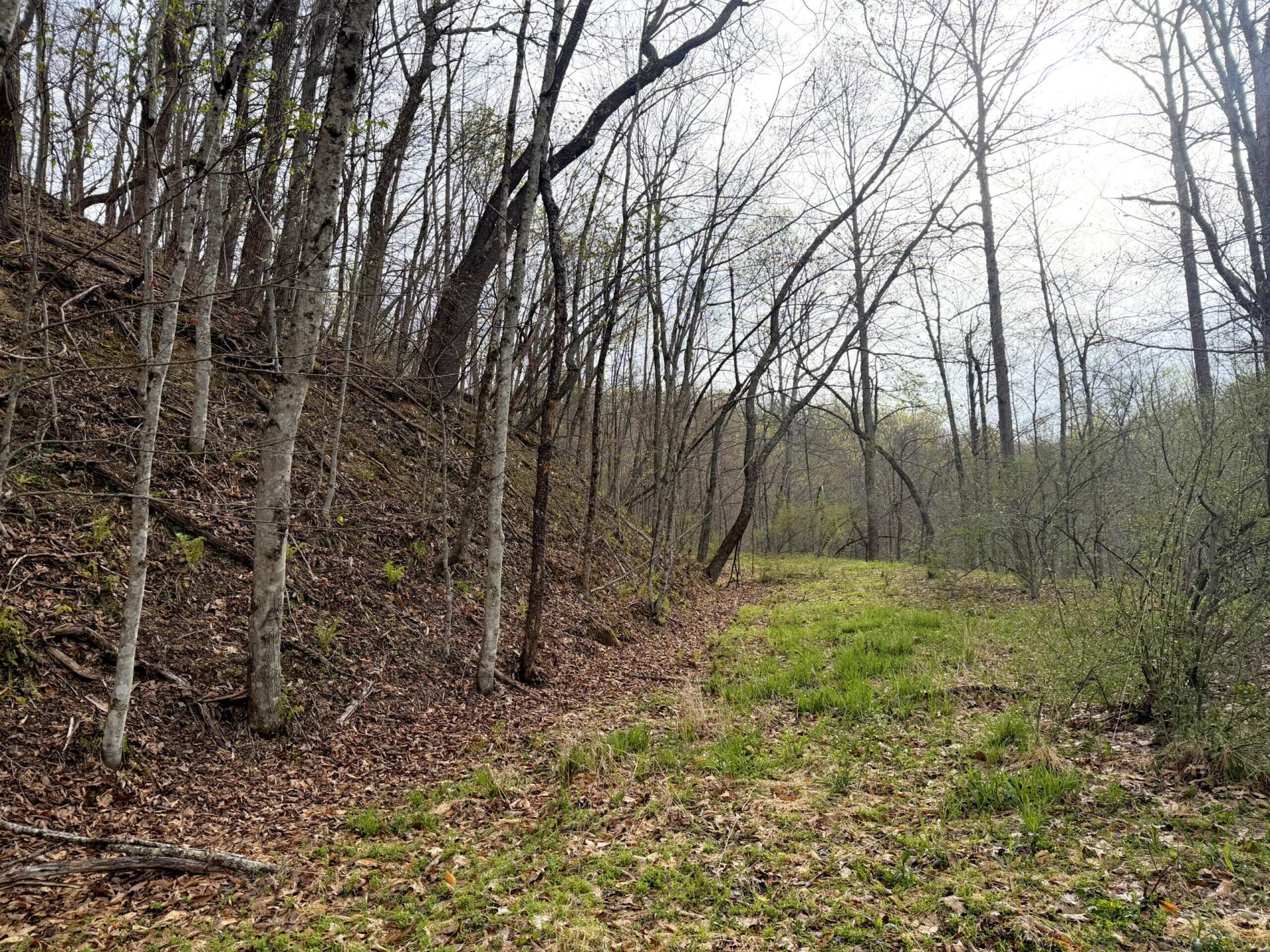 0 Iona RD - Photo 43