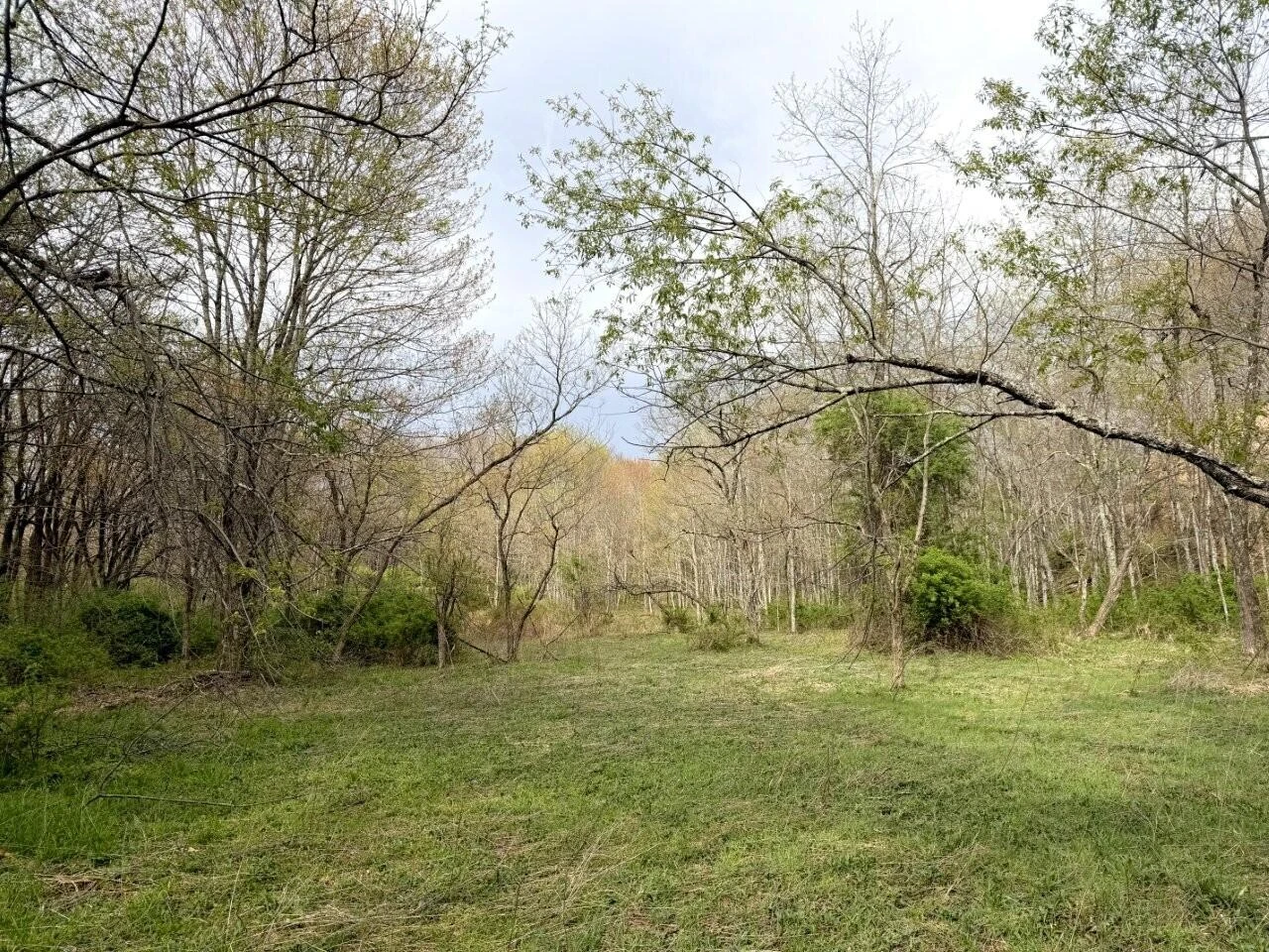 0 Iona RD - Photo 44