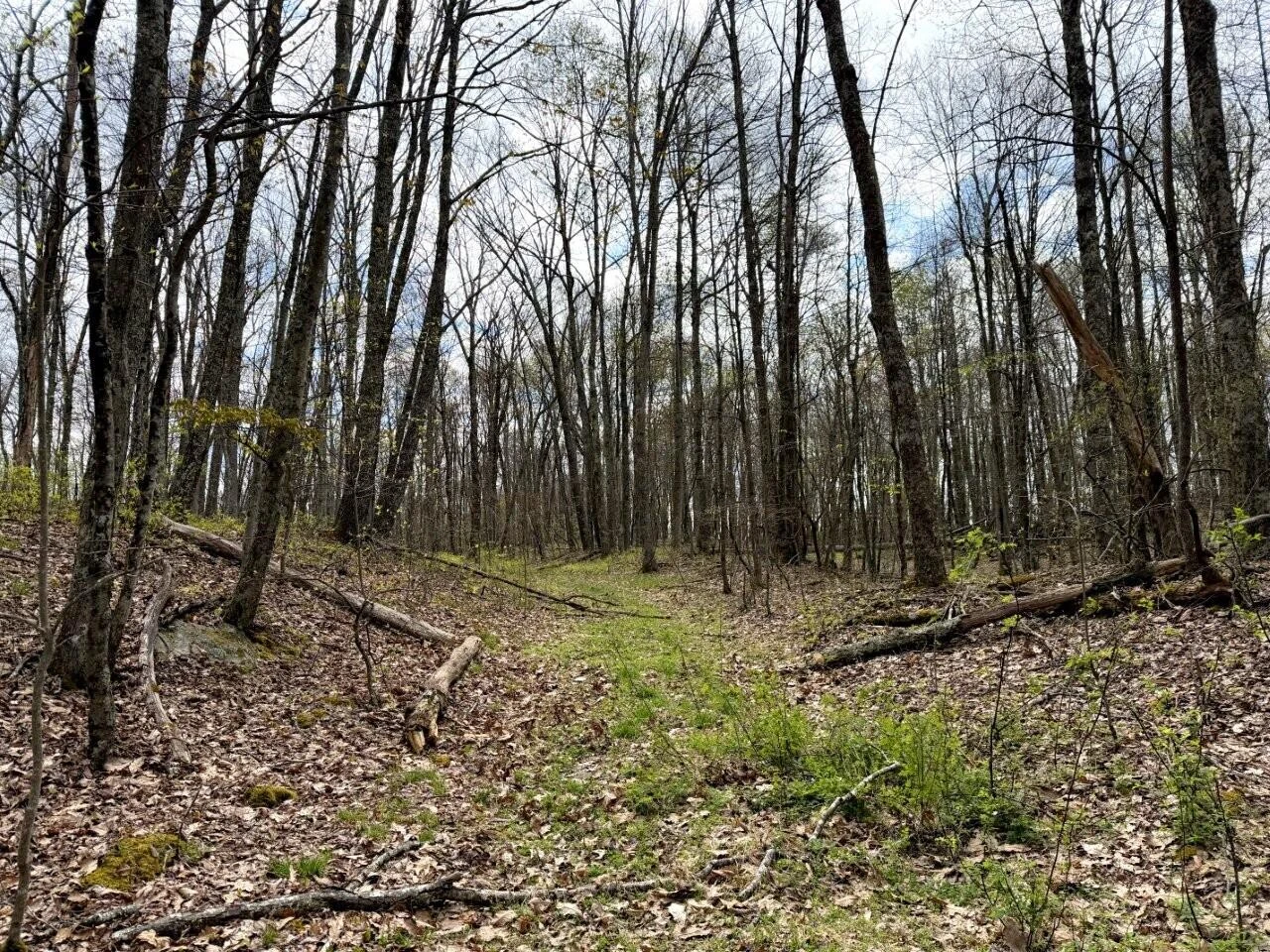 0 Iona RD - Photo 45