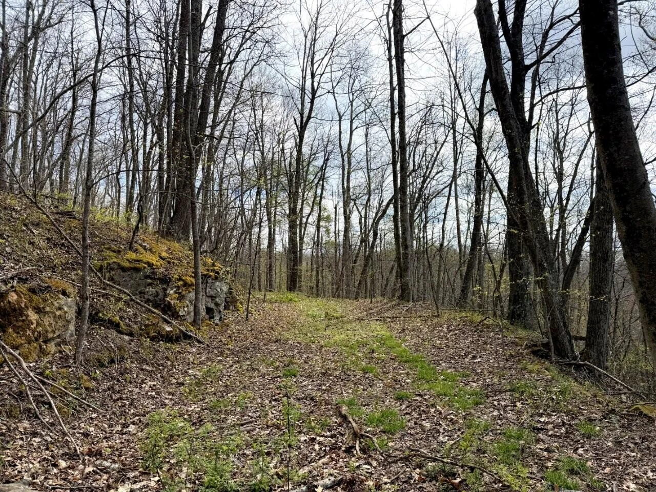 0 Iona RD - Photo 47