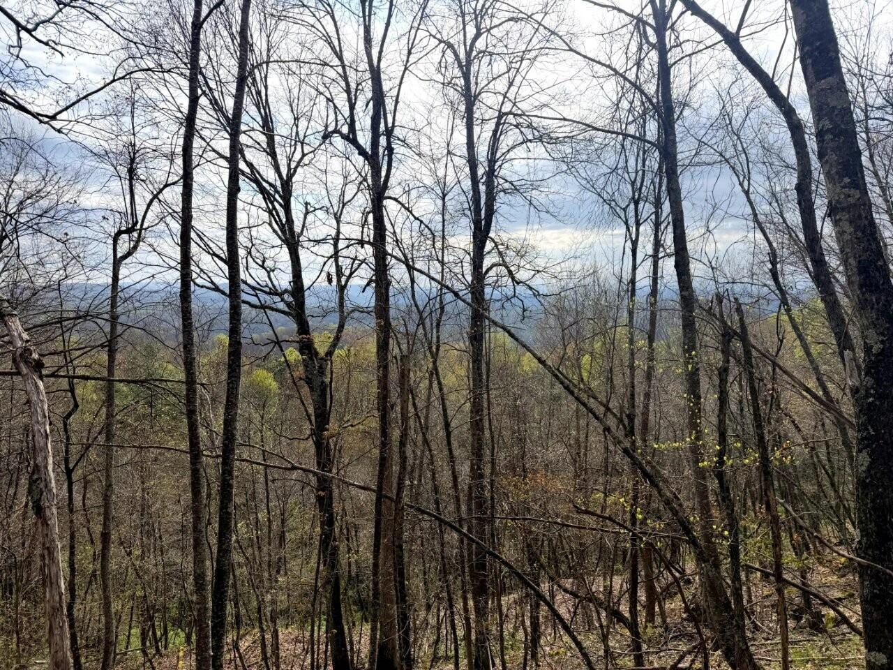 0 Iona RD - Photo 55