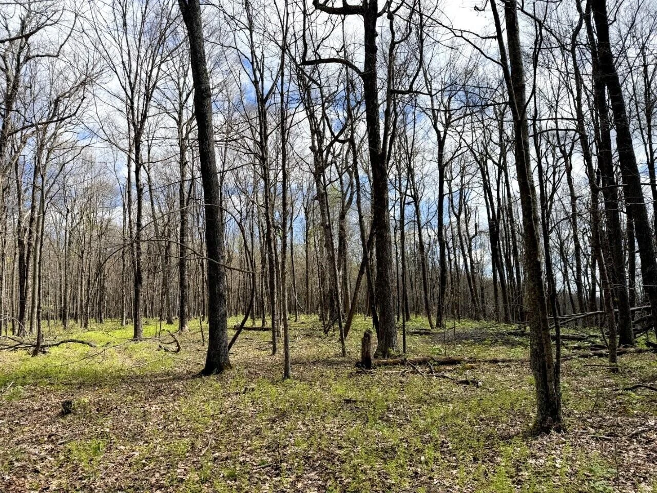 0 Iona RD - Photo 62