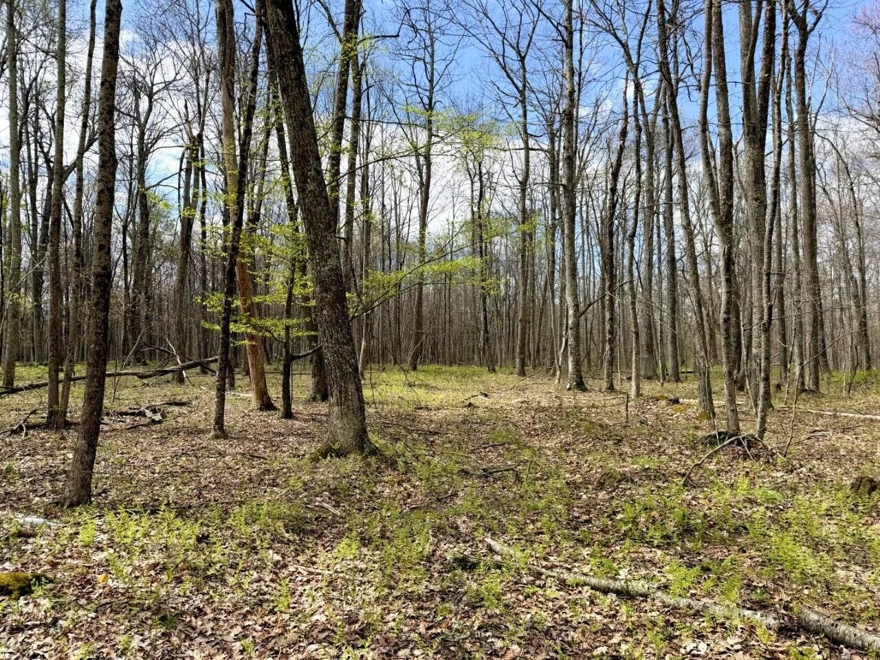 0 Iona RD - Photo 63