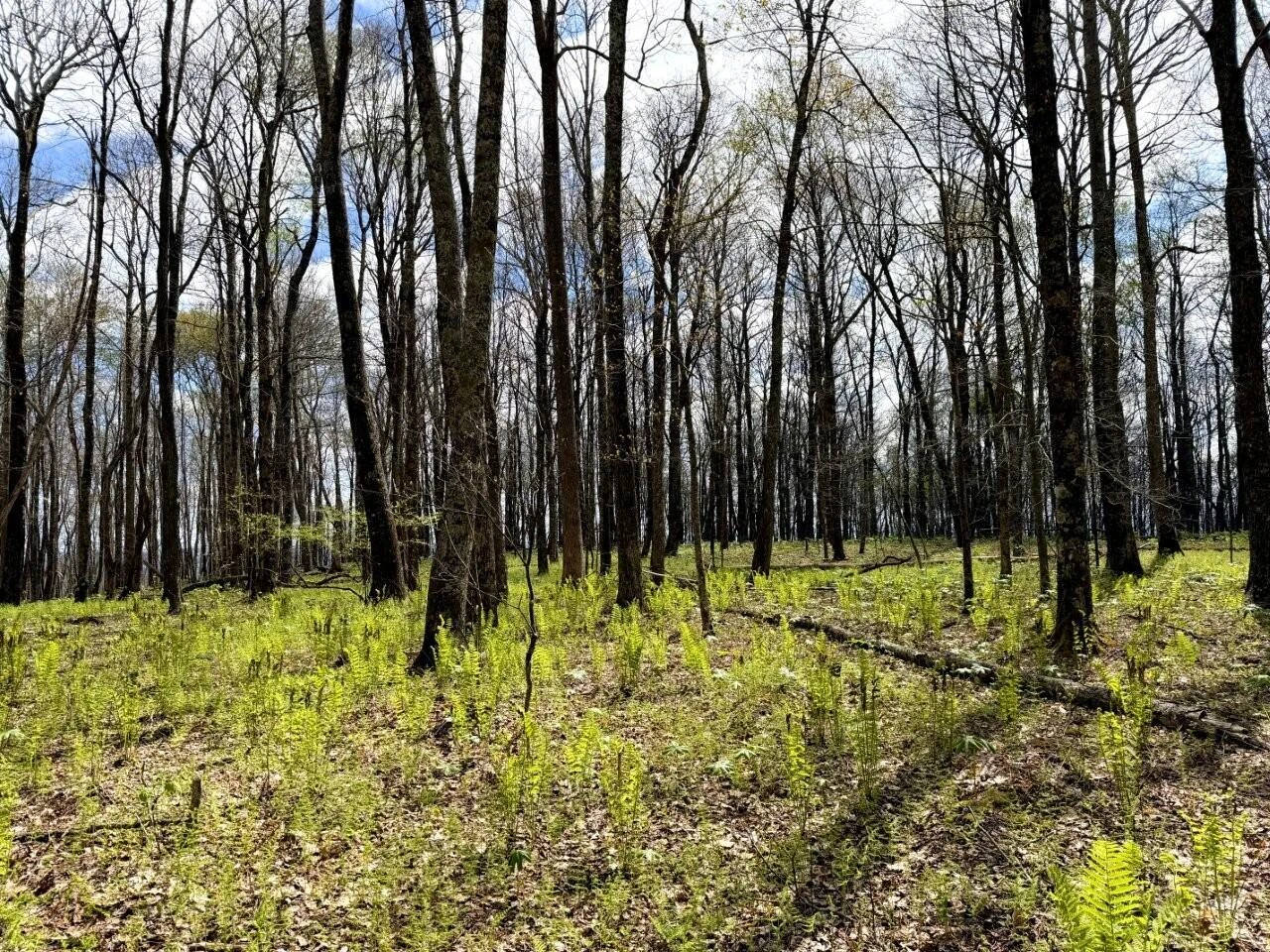 0 Iona RD - Photo 65