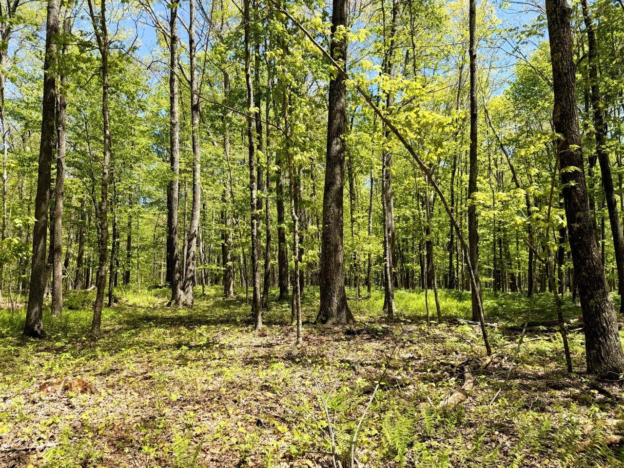 0 Iona RD - Photo 85