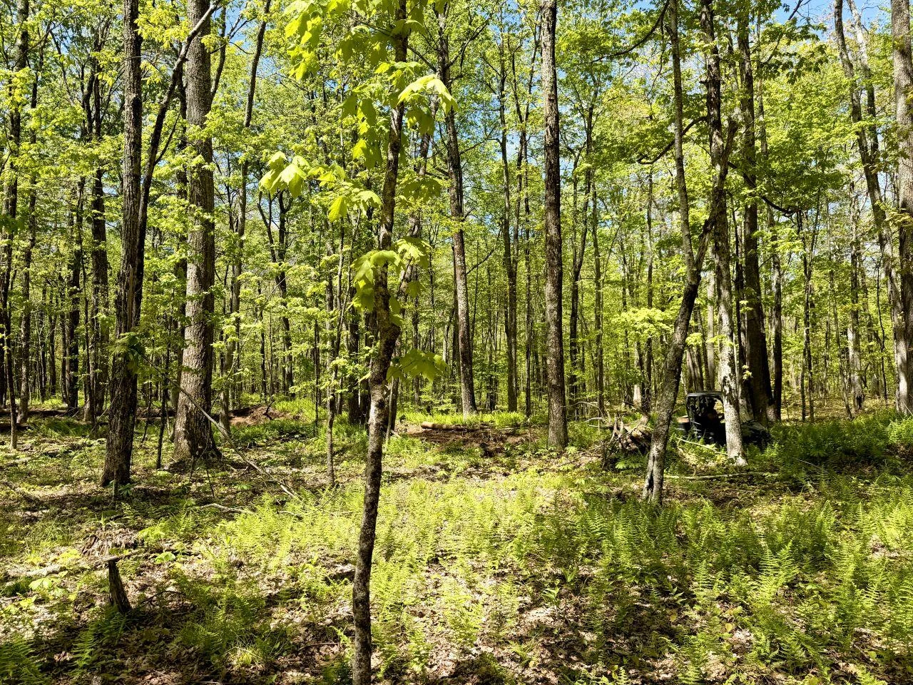 0 Iona RD - Photo 88