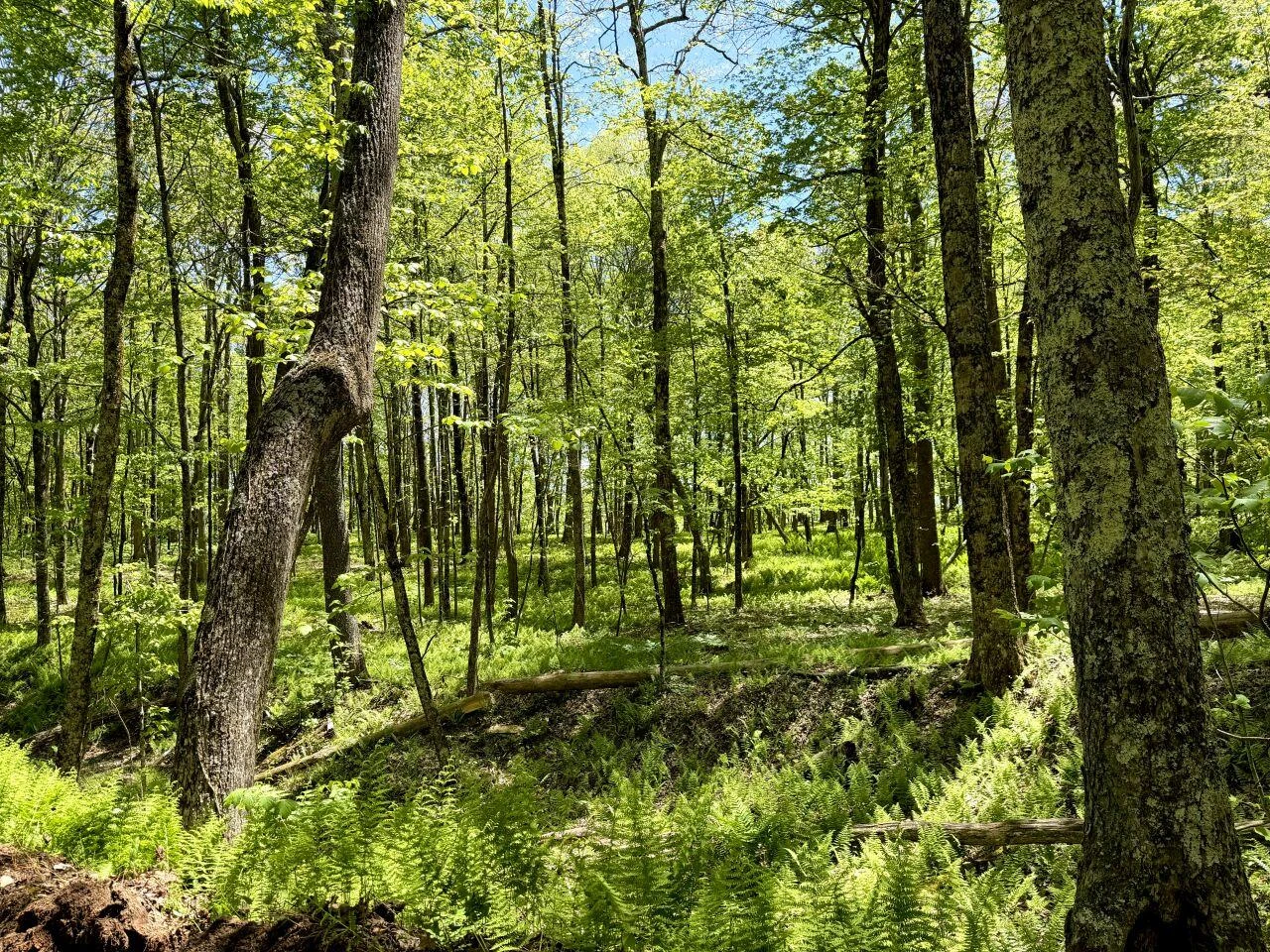 0 Iona RD - Photo 99