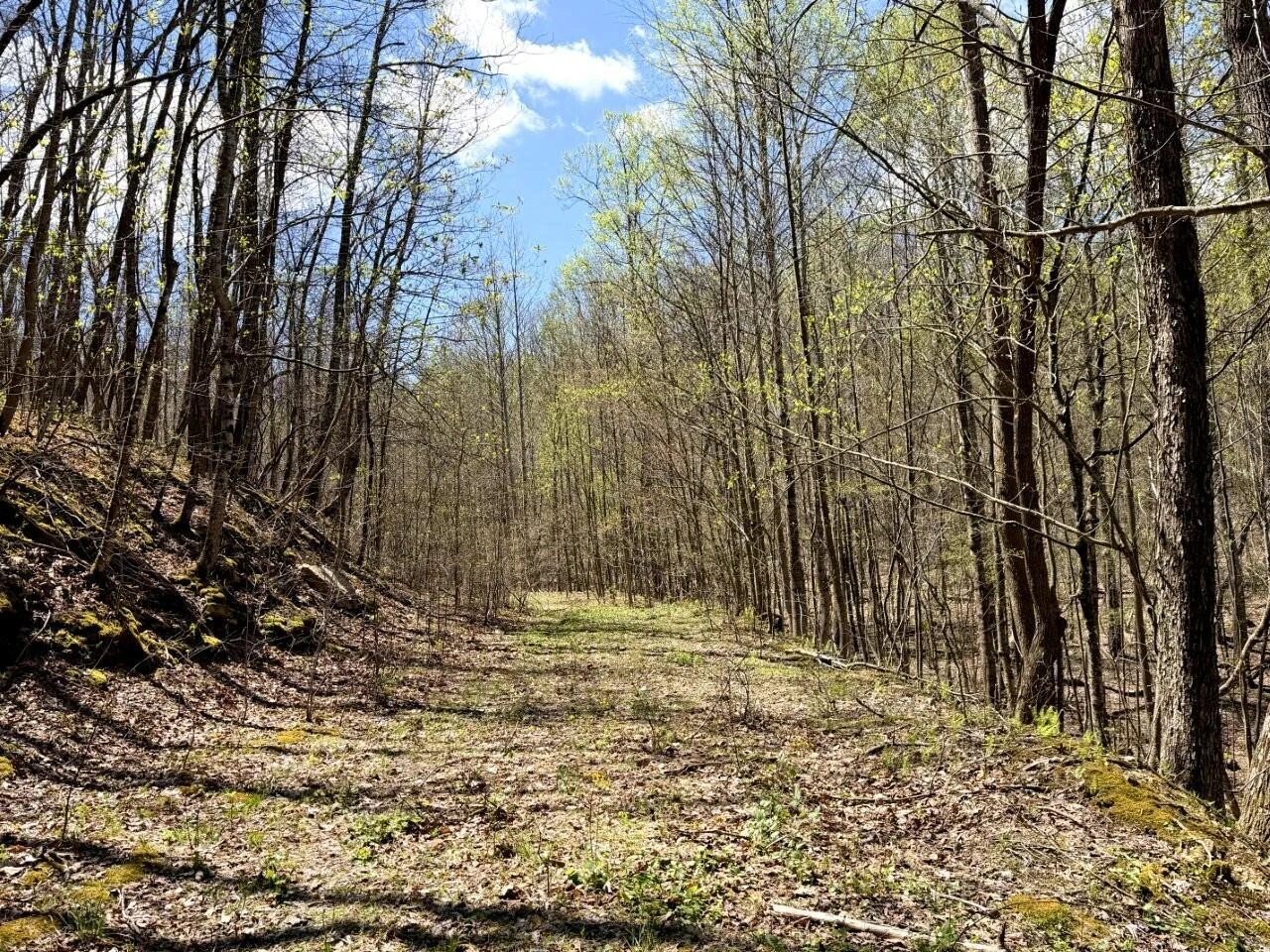 0 Iona RD - Photo 101
