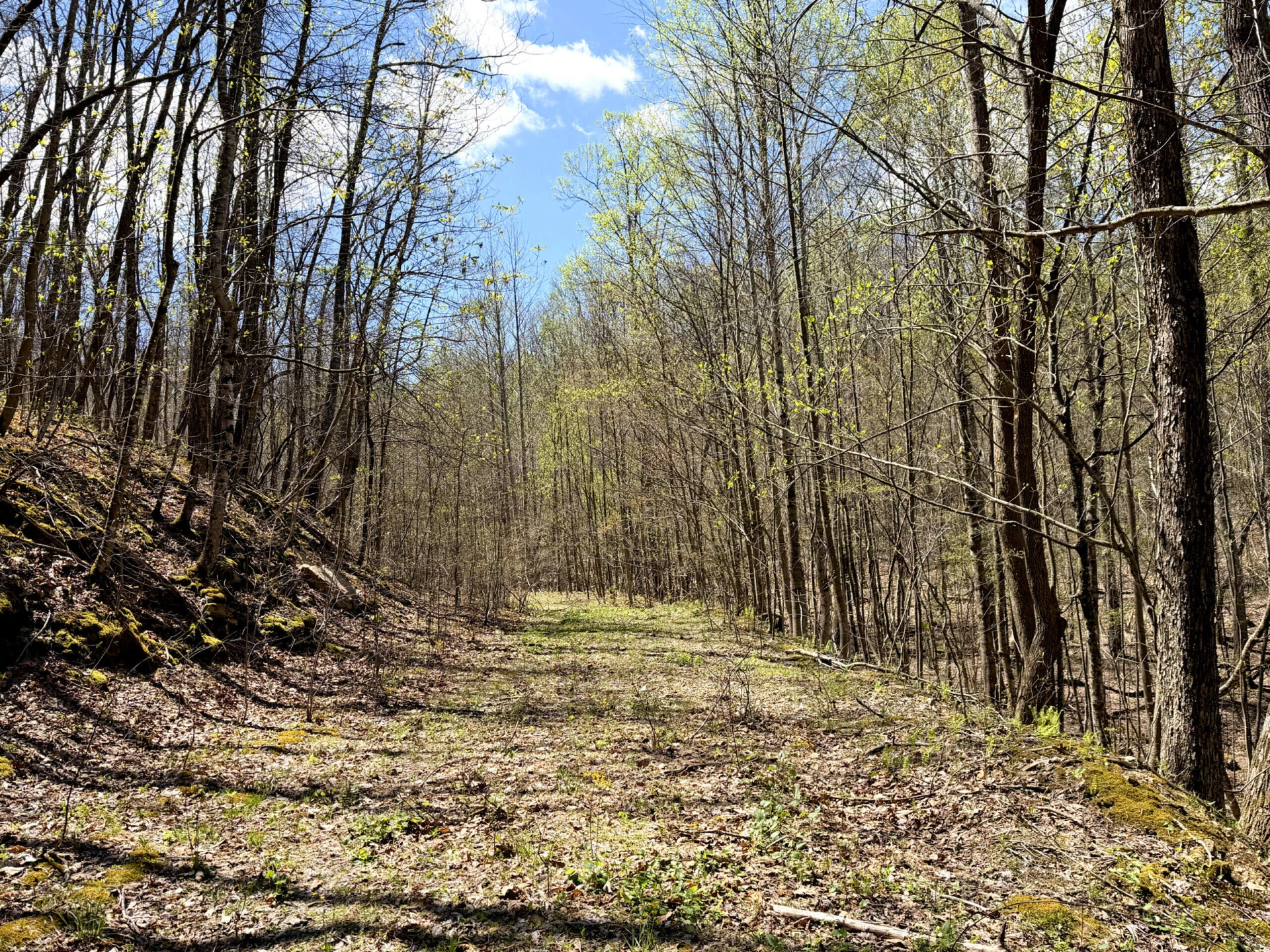 0 Iona RD - Photo 102