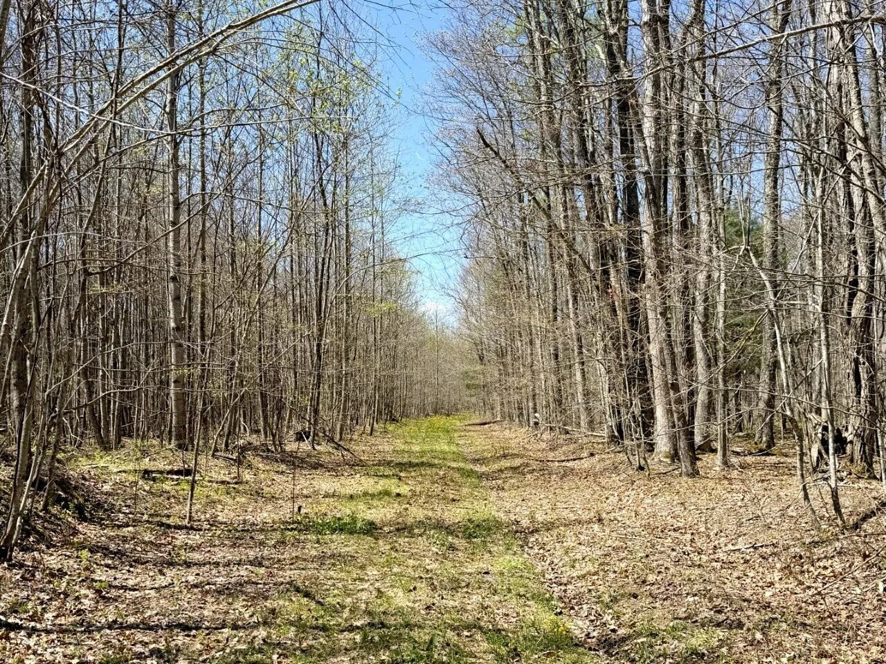 0 Iona RD - Photo 103