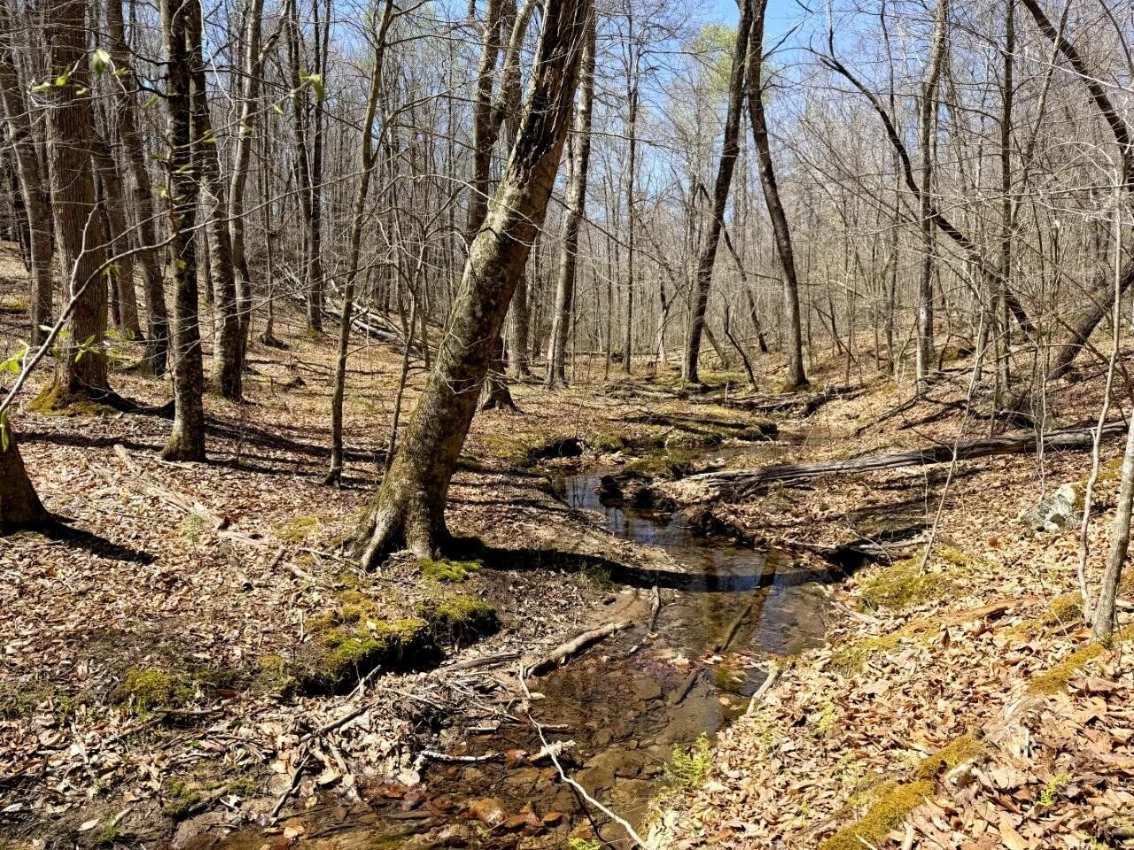 0 Iona RD - Photo 106