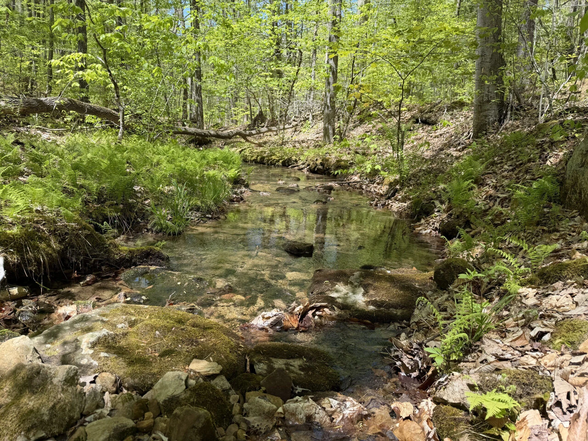 0 Iona RD - Photo 111