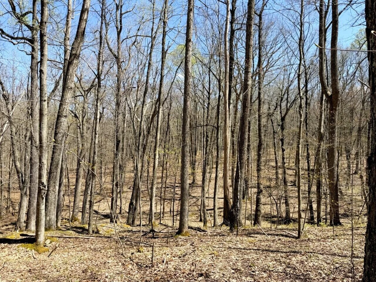 0 Iona RD - Photo 116
