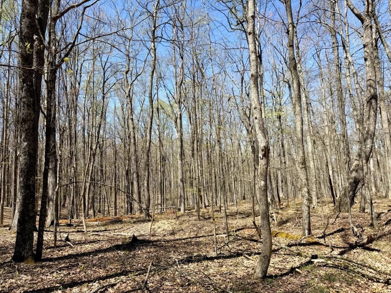 0 Iona RD - Photo 120
