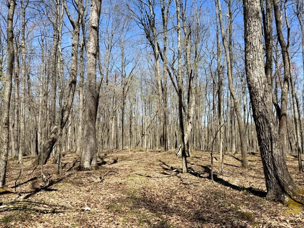 0 Iona RD - Photo 121