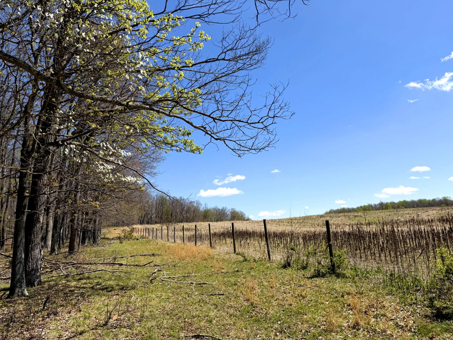 0 Iona RD - Photo 123