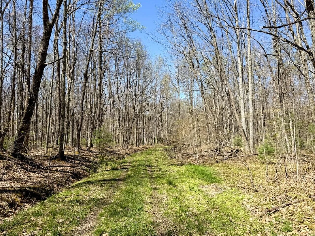 0 Iona RD - Photo 124