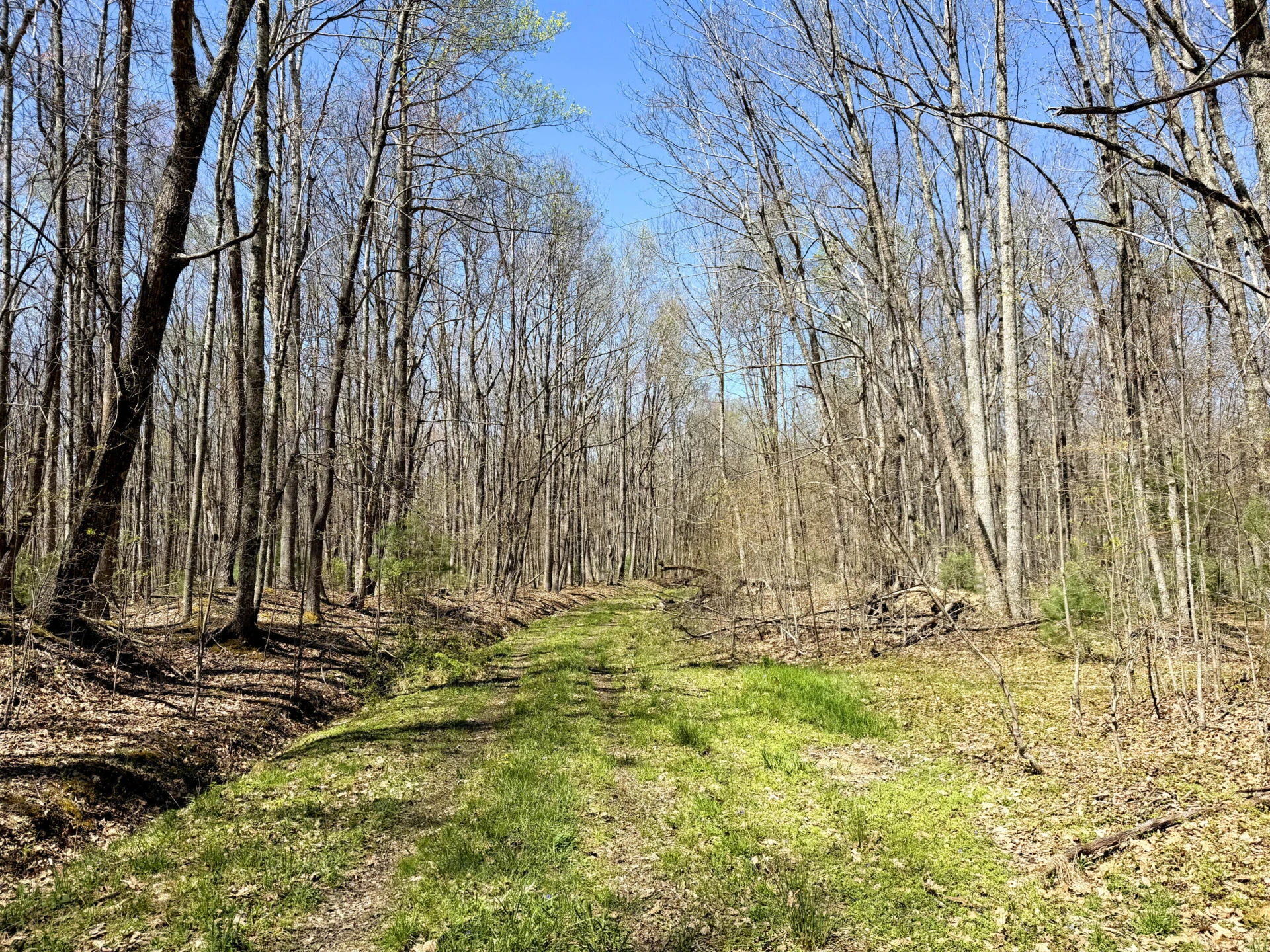 0 Iona RD - Photo 125
