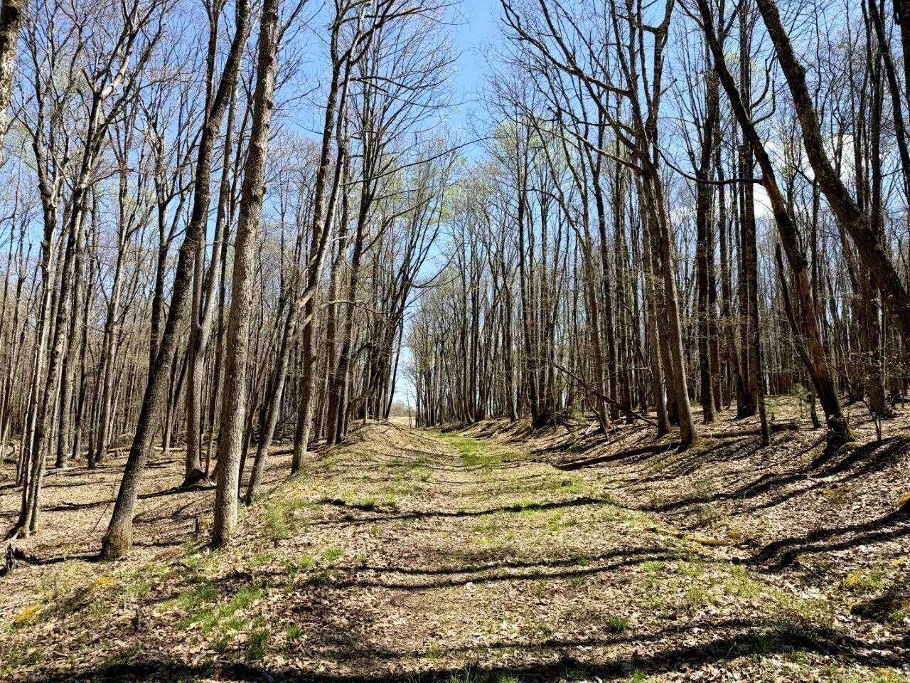0 Iona RD - Photo 126