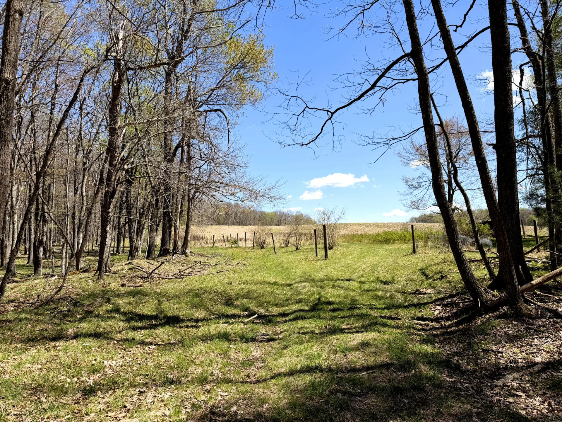 0 Iona RD - Photo 132