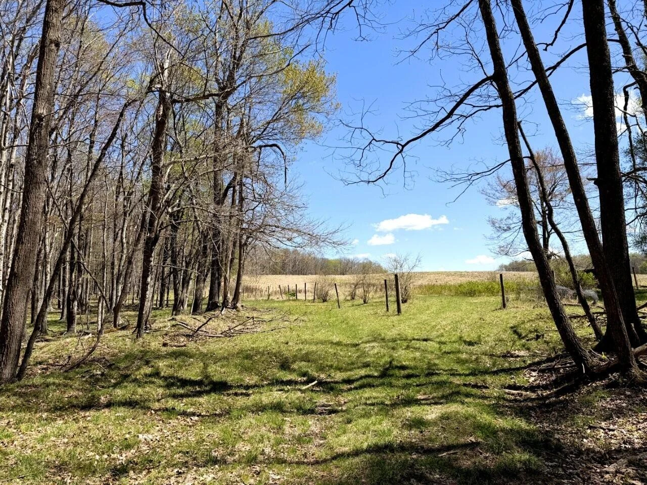 0 Iona RD - Photo 133