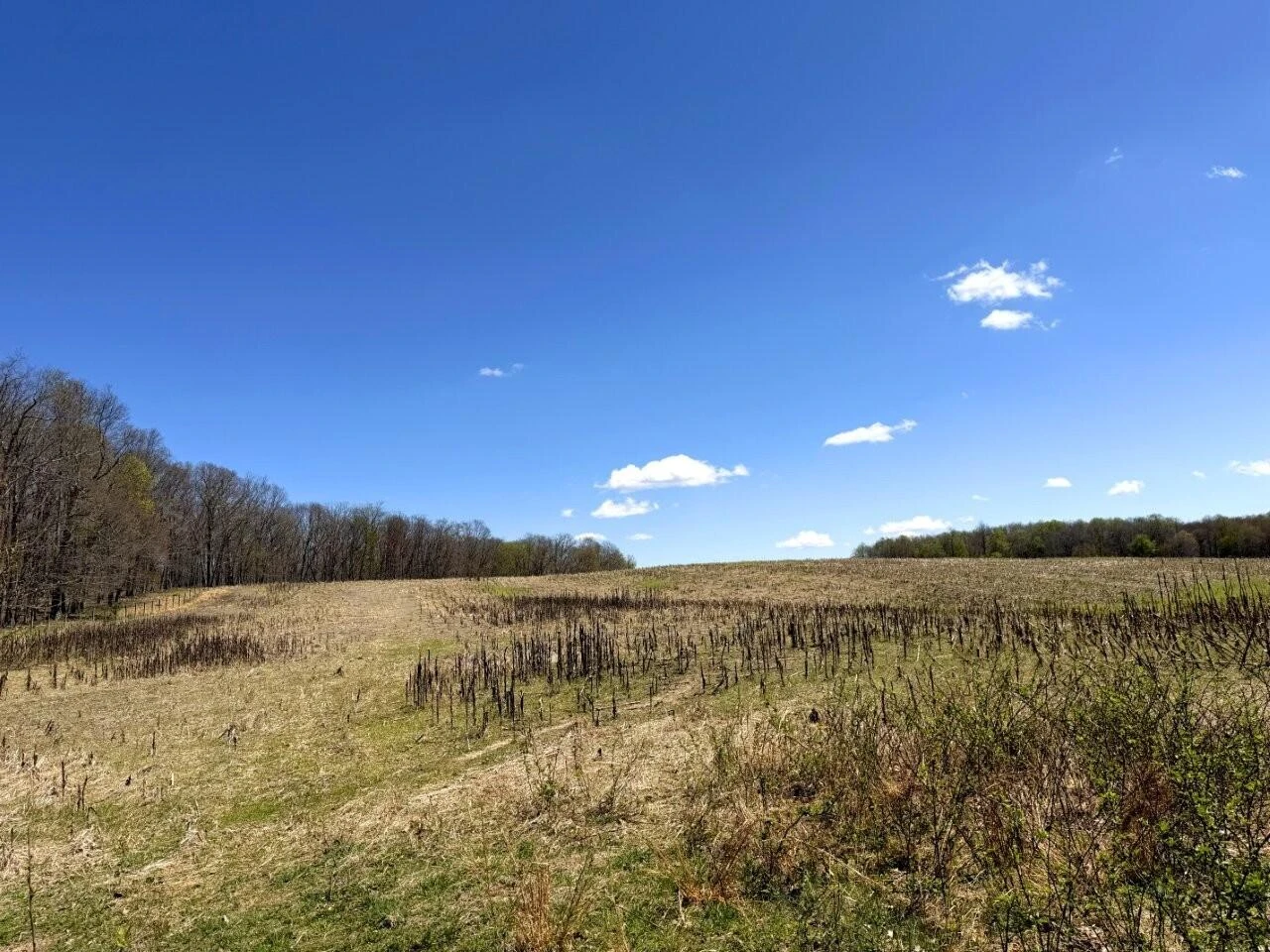 0 Iona RD - Photo 134