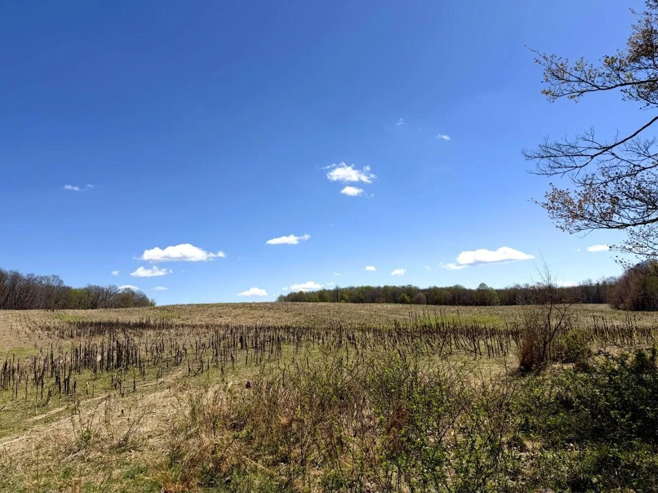 0 Iona RD - Photo 135