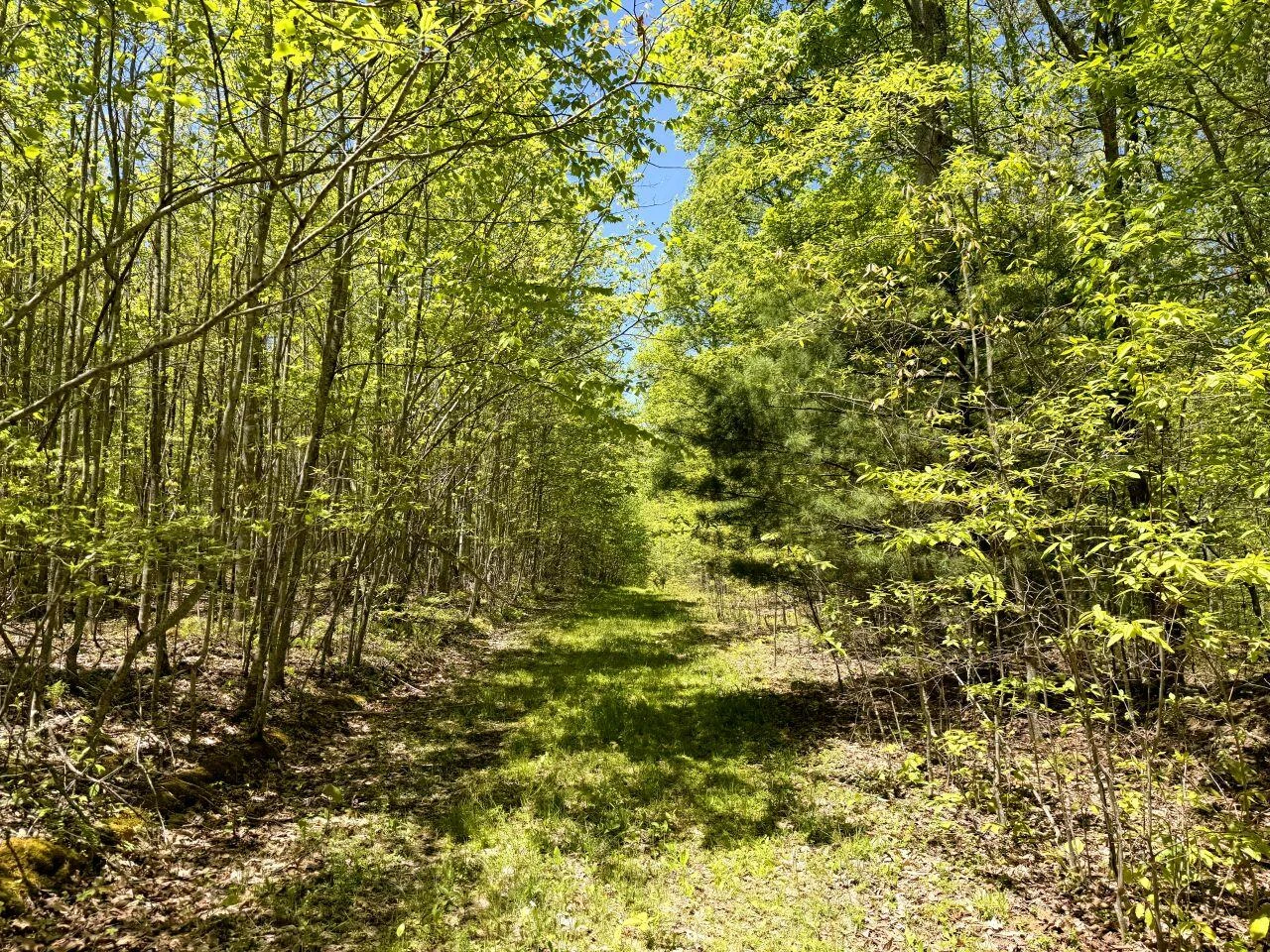 0 Iona RD - Photo 145