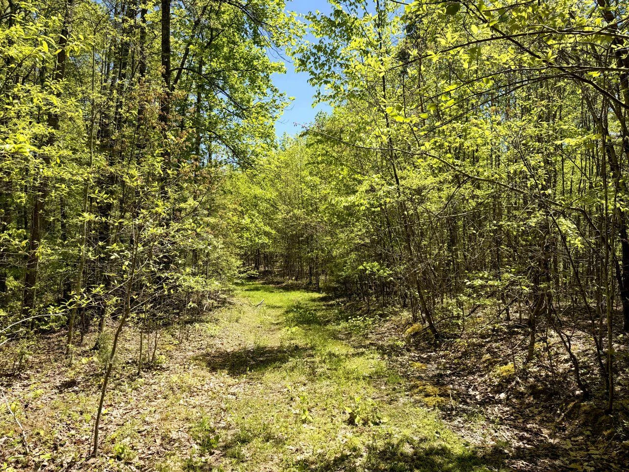 0 Iona RD - Photo 146