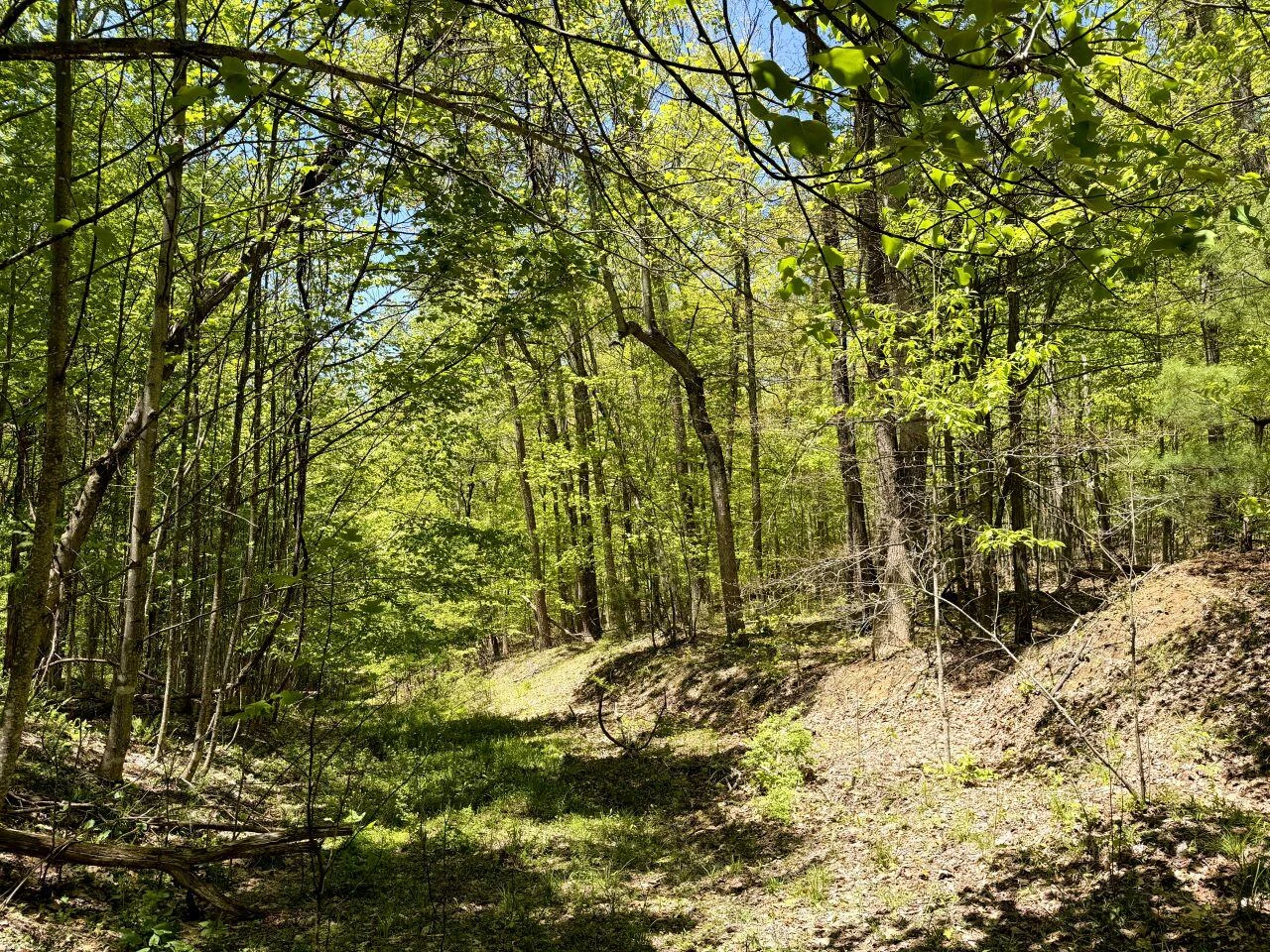 0 Iona RD - Photo 147