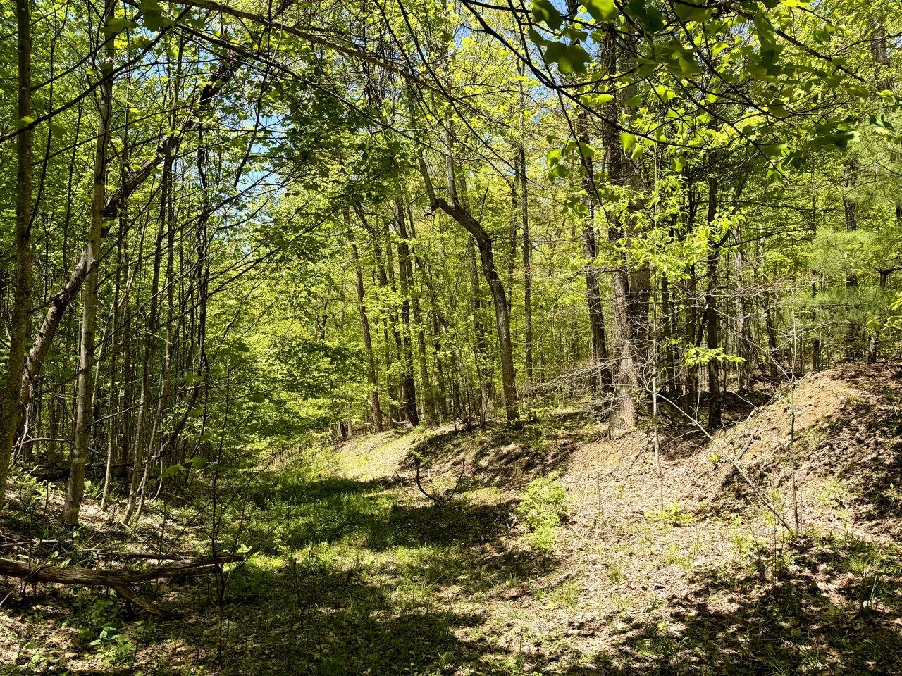 0 Iona RD - Photo 148