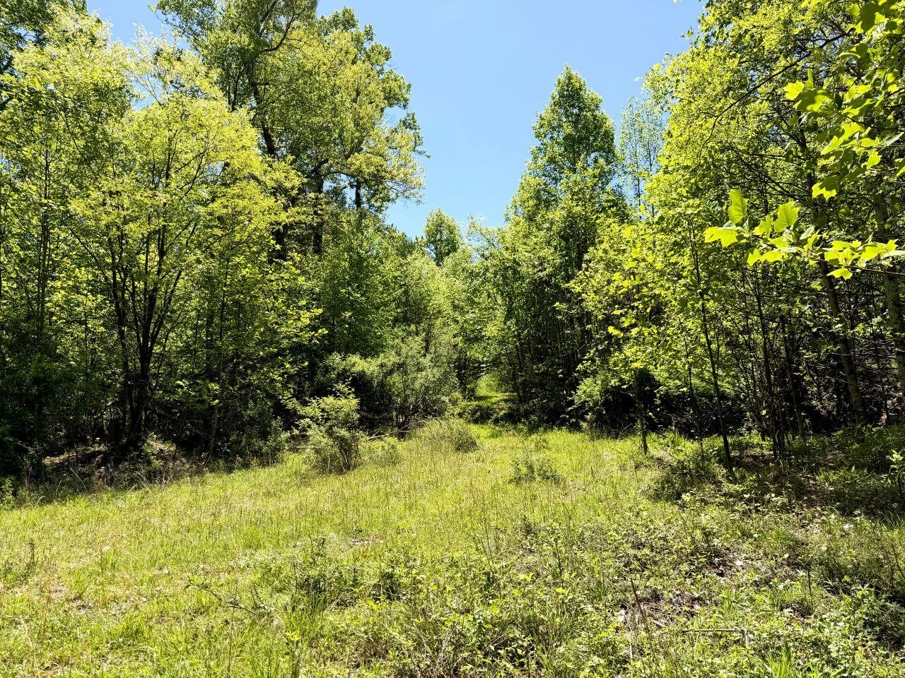 0 Iona RD - Photo 149