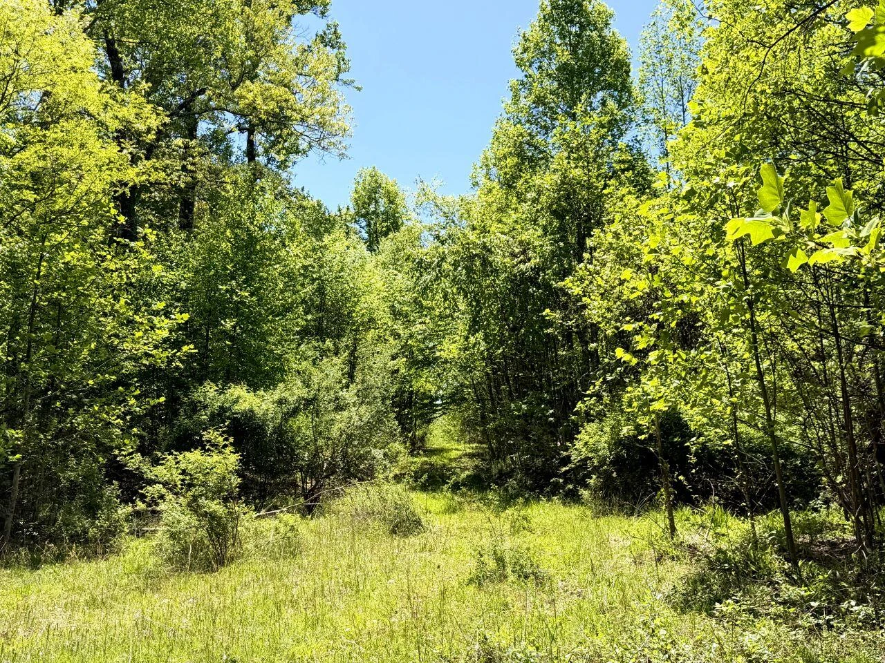 0 Iona RD - Photo 150