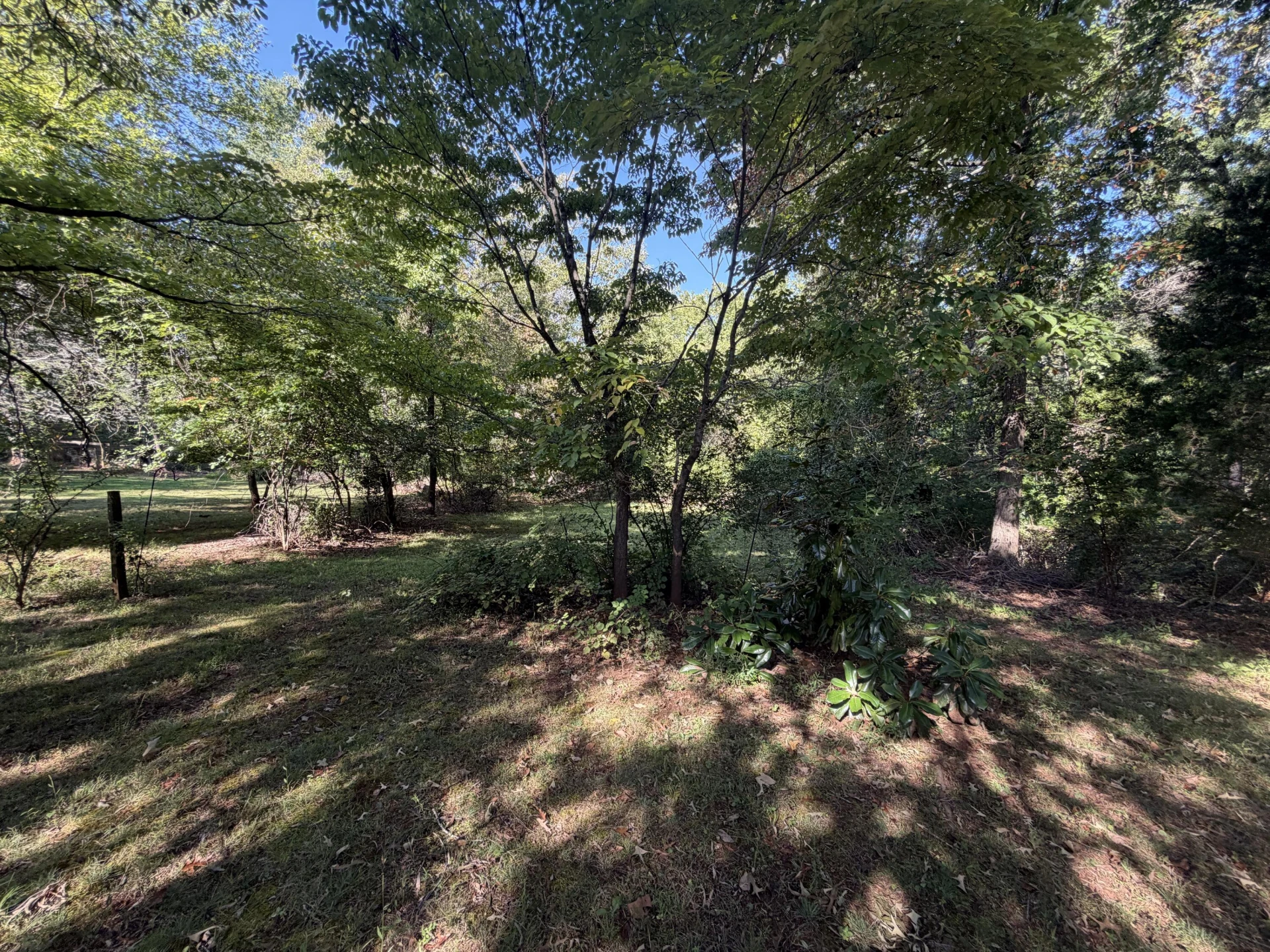 1689 Spottswood PL - Photo 16