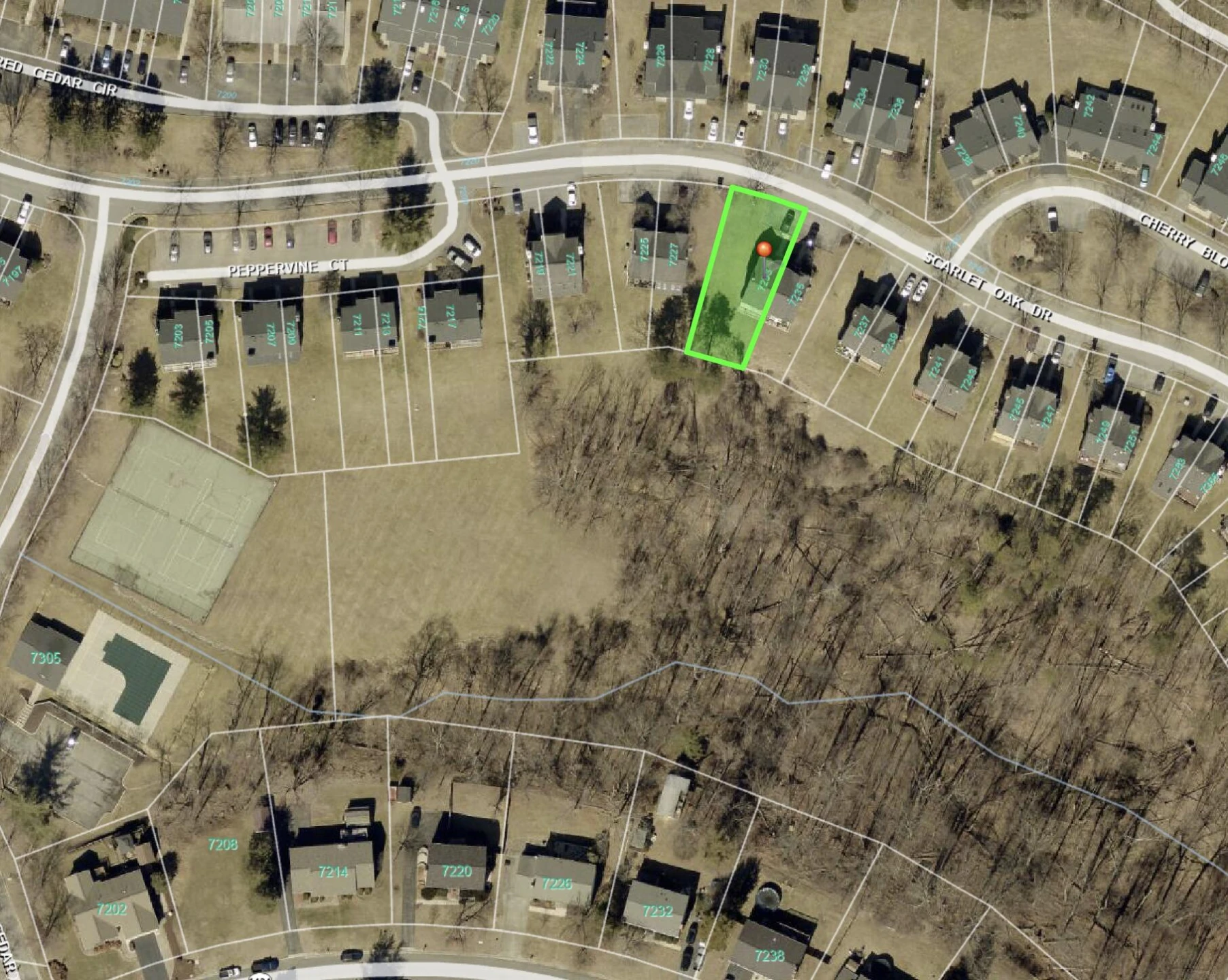 7233 Scarlet Oak DR - Photo 38