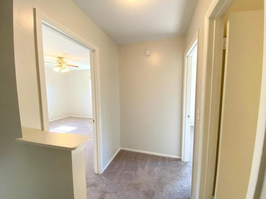 916 Pyrtle DR #A, B and C - Photo 23