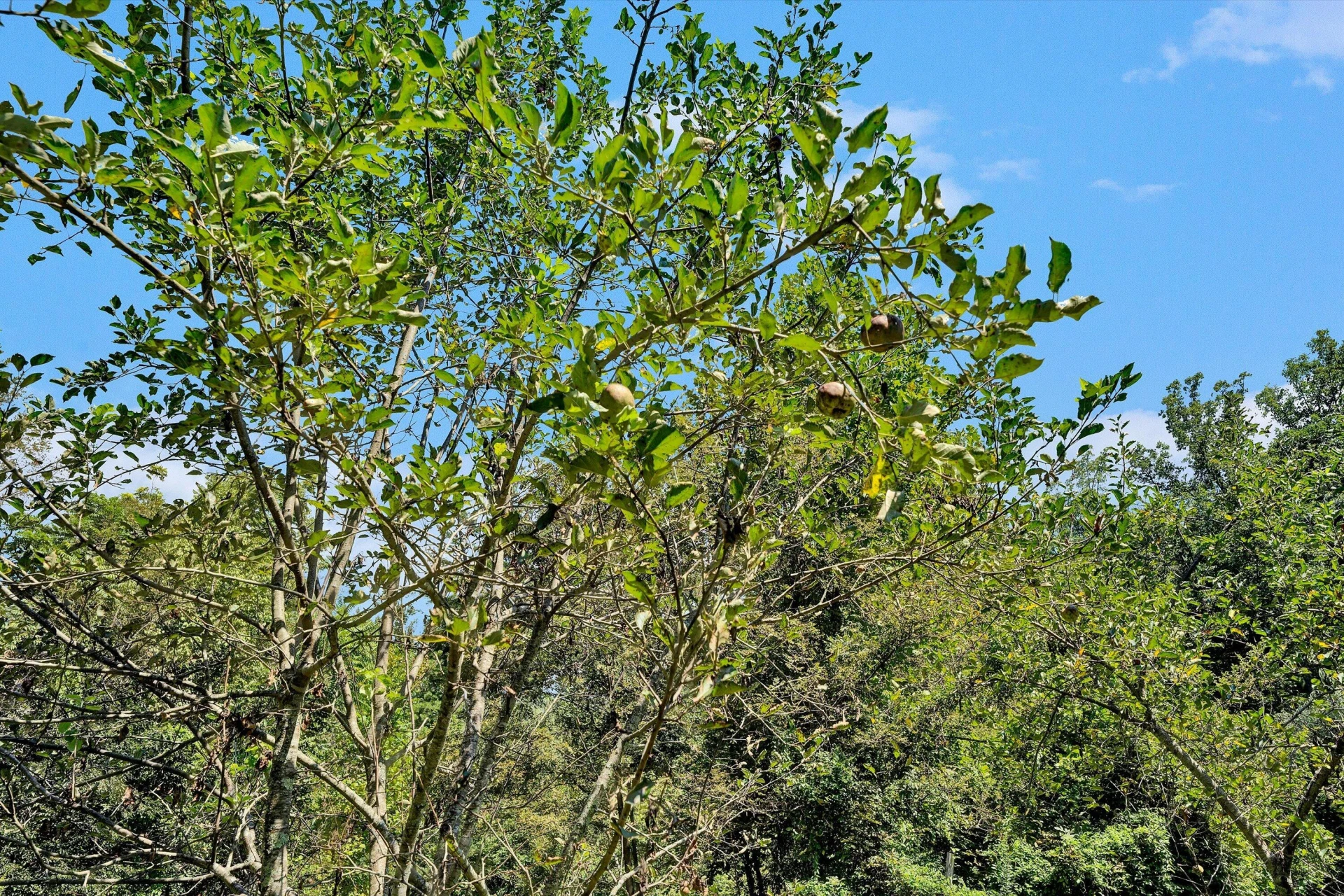 501 Clark Hollow RD - Photo 33