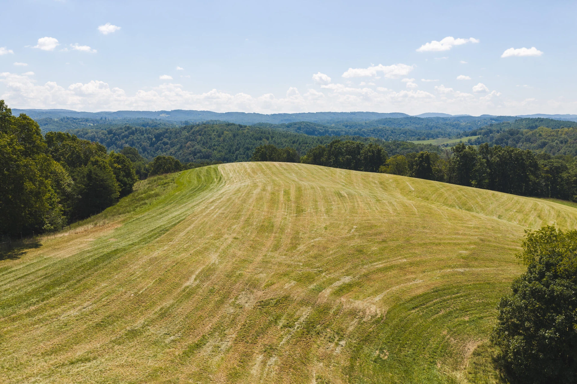 5902 Chestnut Ridge RD - Photo 2