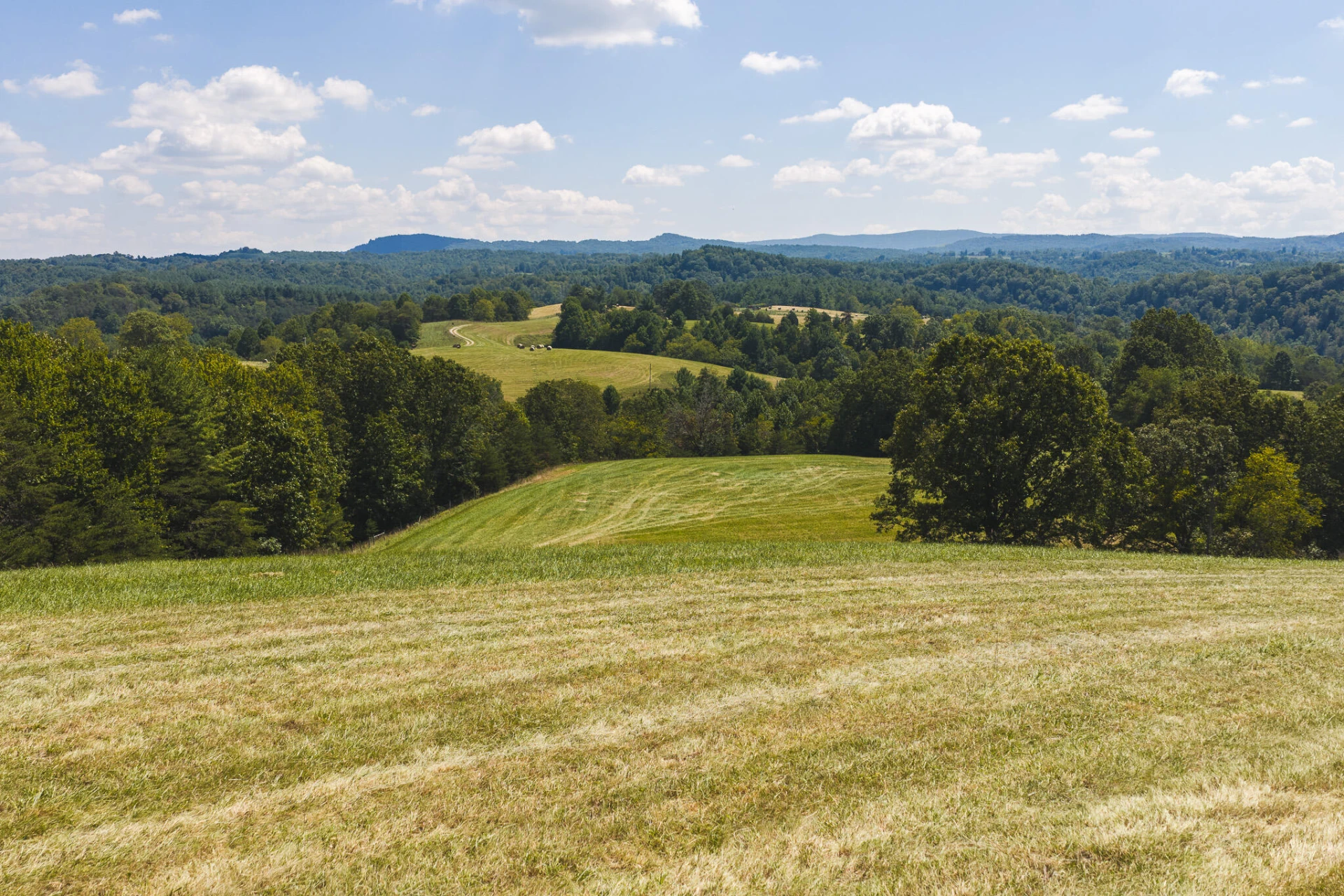 5902 Chestnut Ridge RD - Photo 3