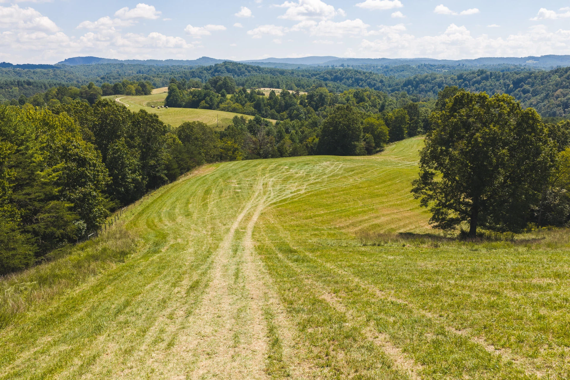 5902 Chestnut Ridge RD - Photo 4