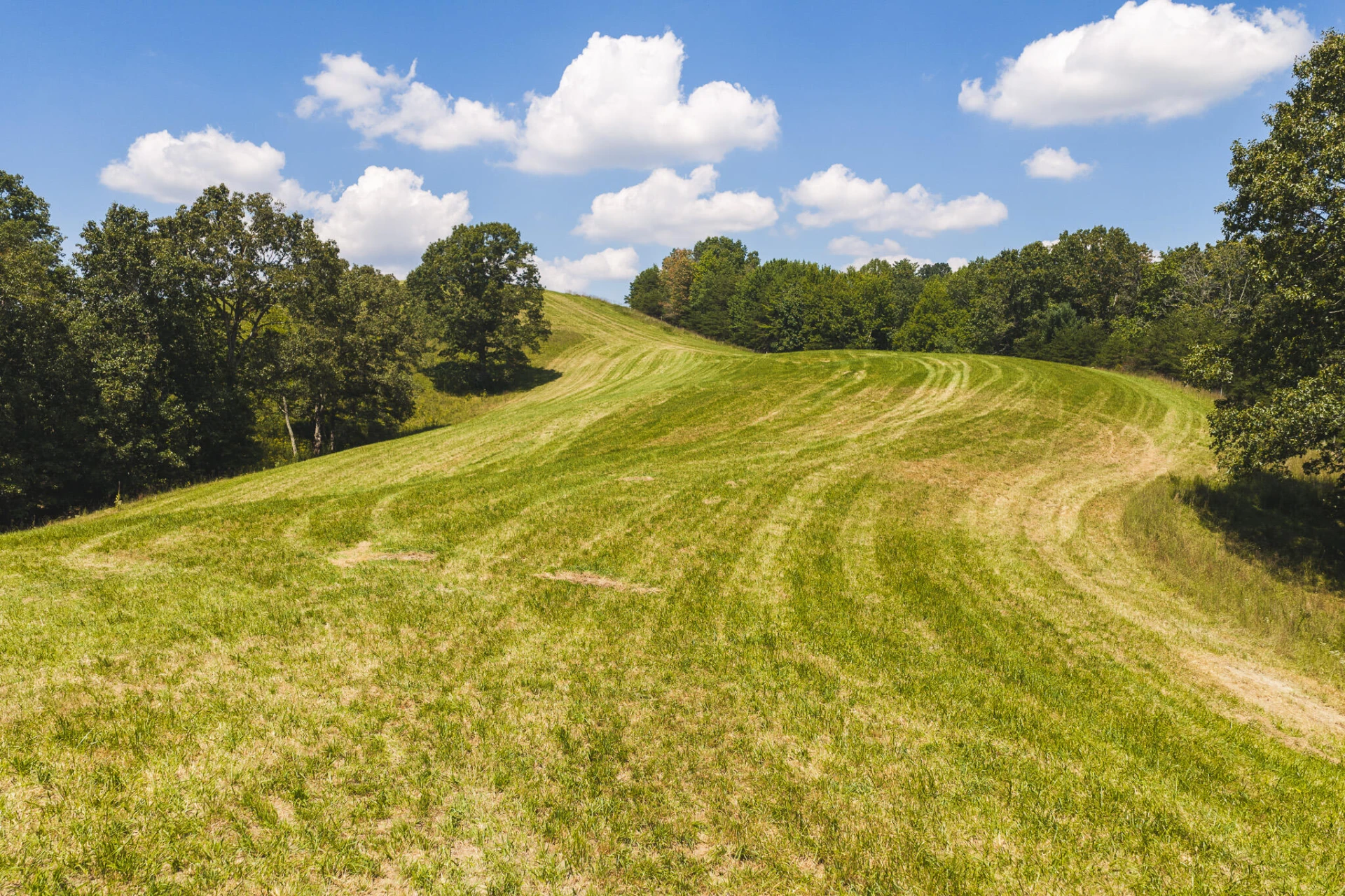5902 Chestnut Ridge RD - Photo 7