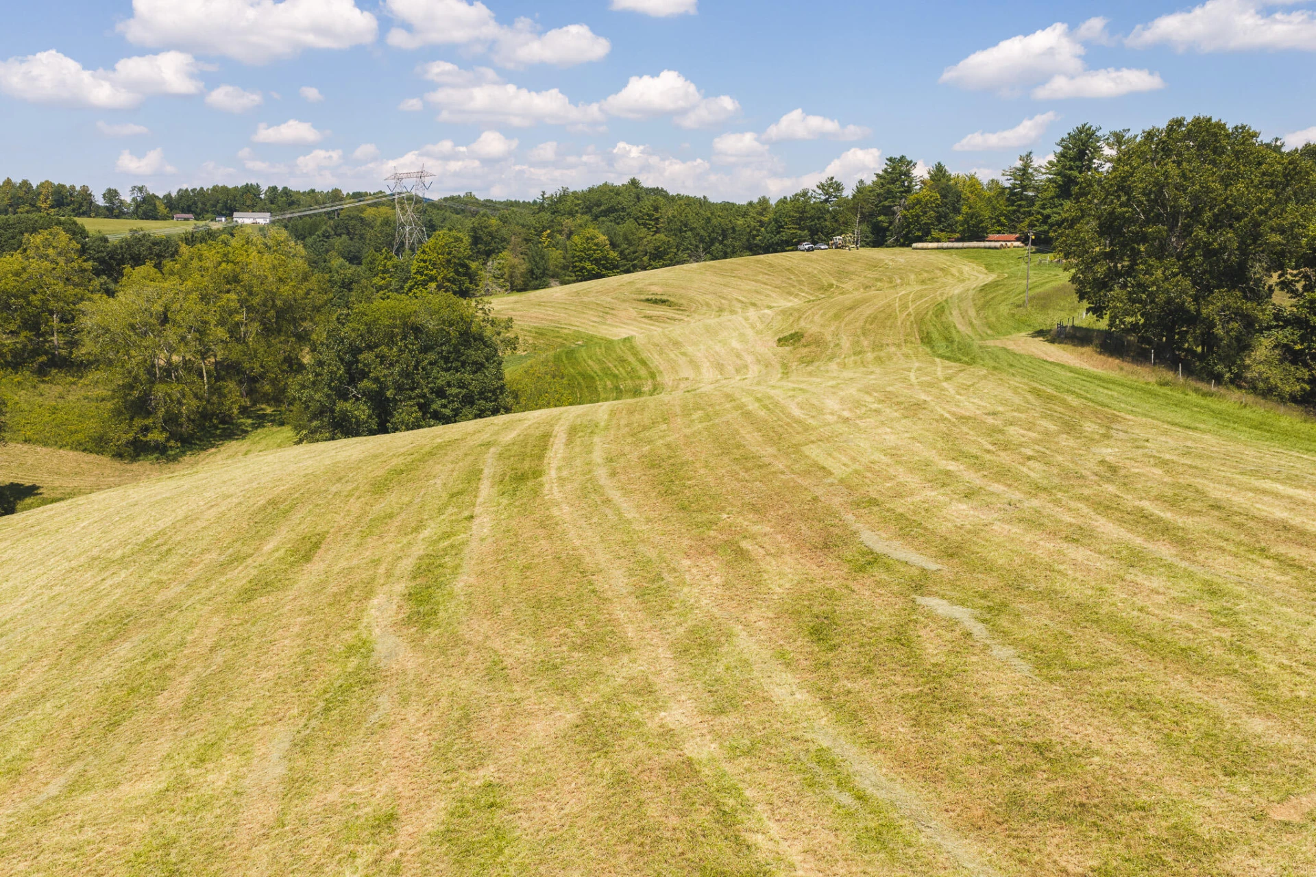 5902 Chestnut Ridge RD - Photo 8
