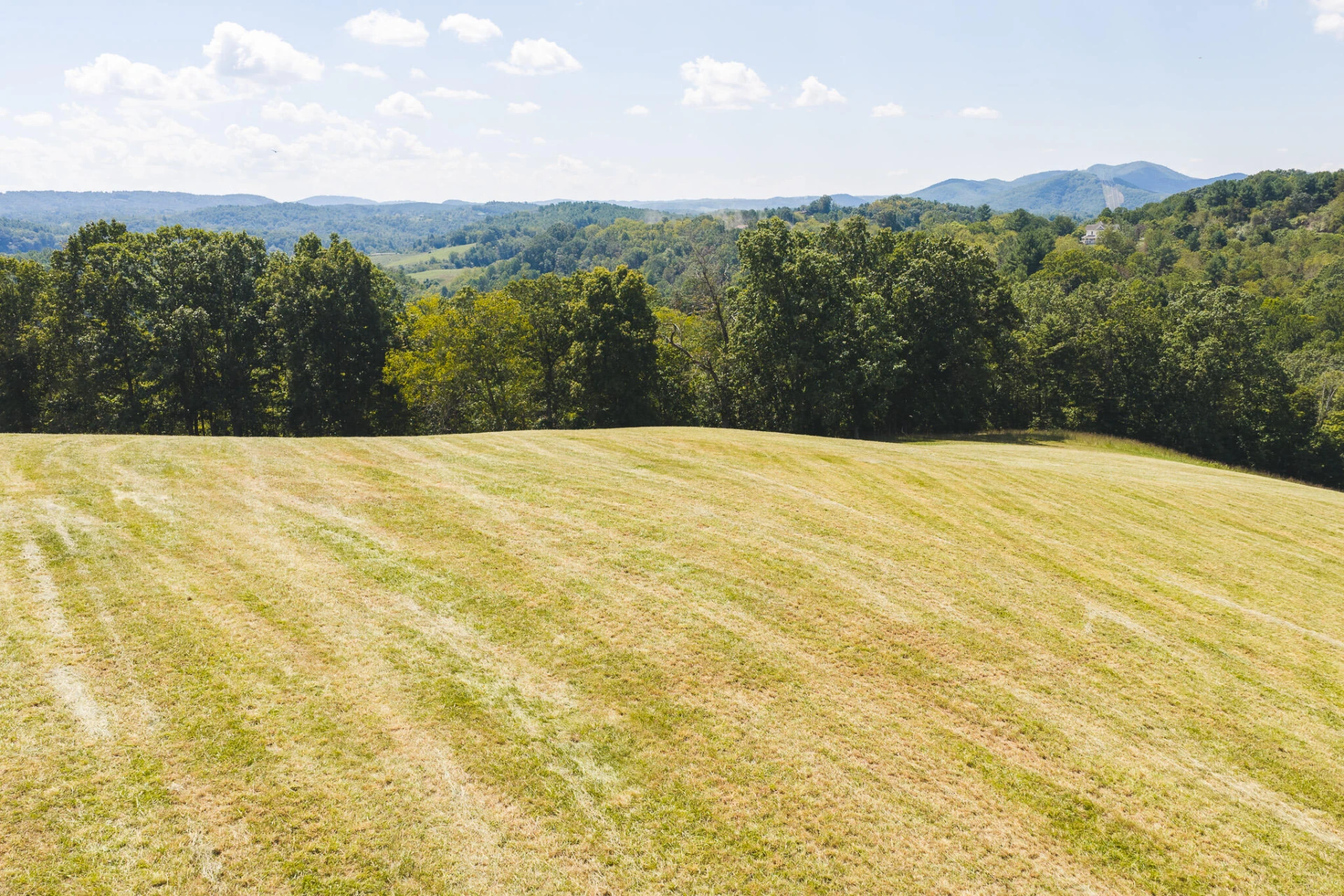5902 Chestnut Ridge RD - Photo 9