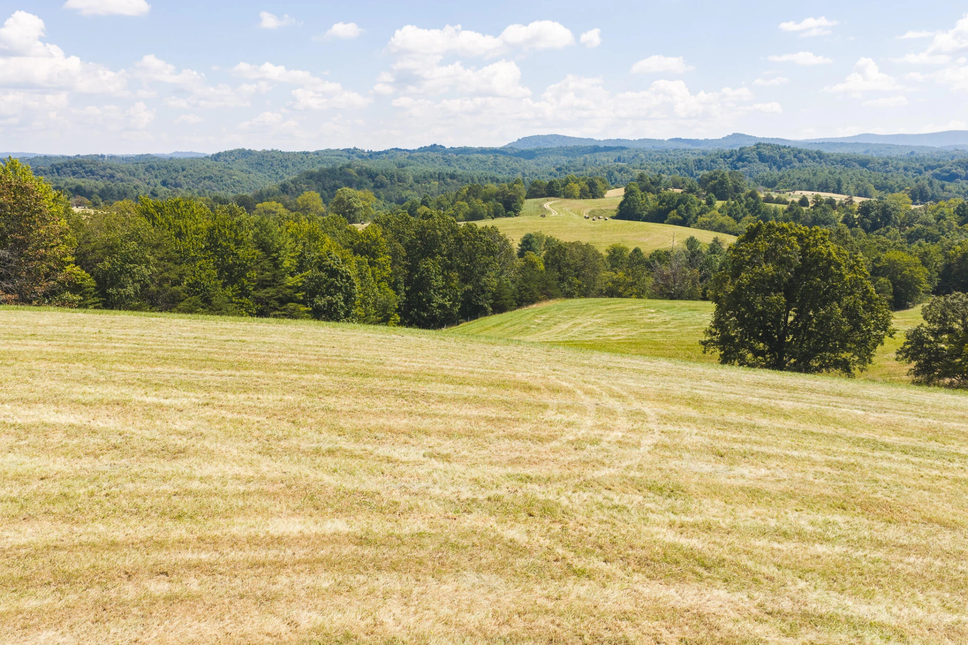 5902 Chestnut Ridge RD - Photo 10